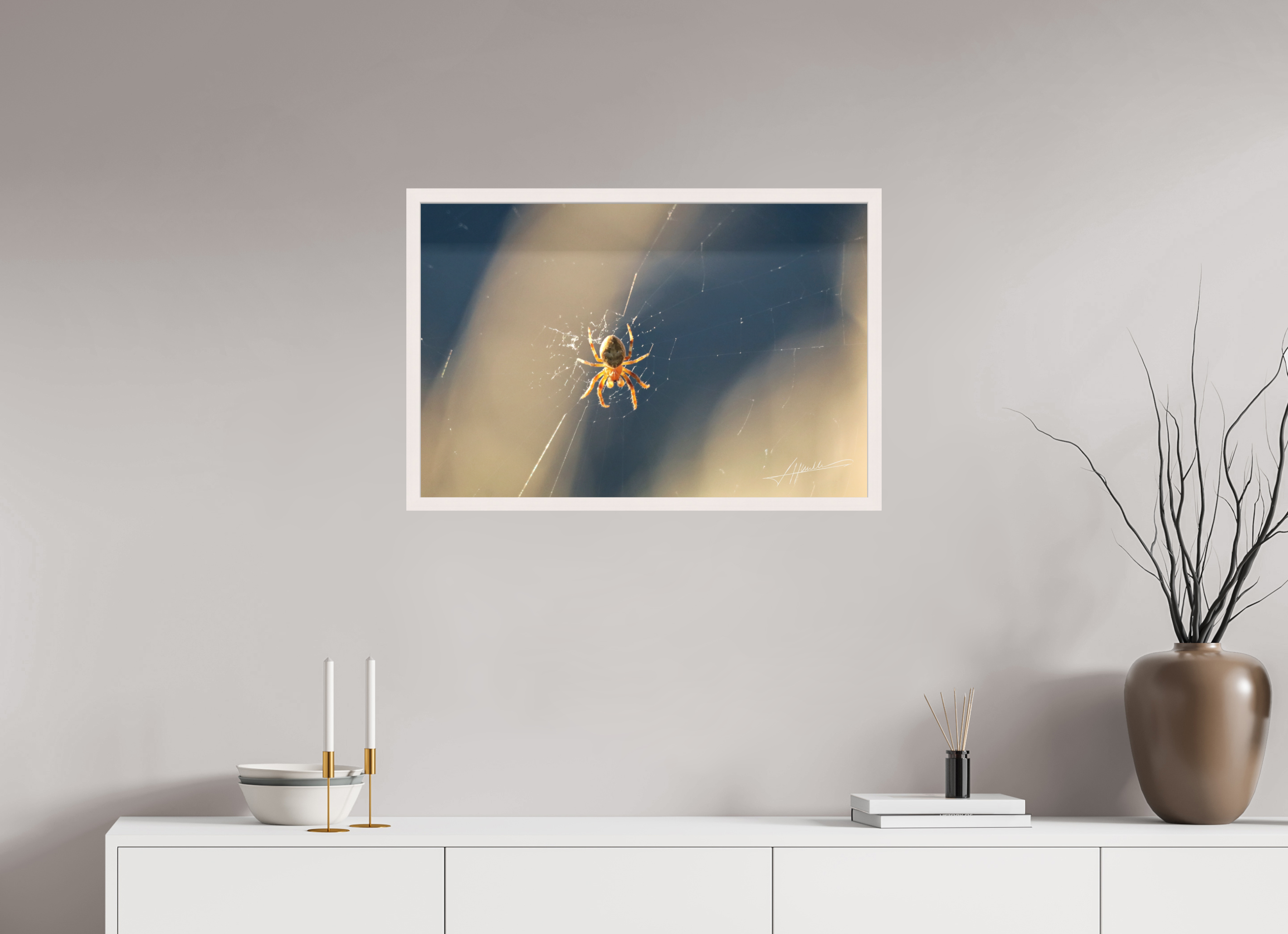 30 x 20″, Shadow Box Frame Tattered Web