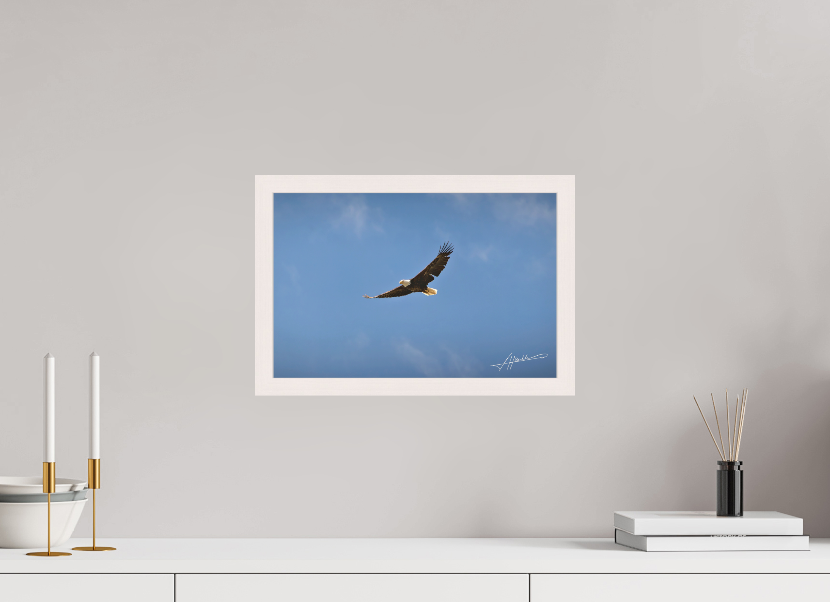 15 x 10″, Shadow Box Frame Soaring Free