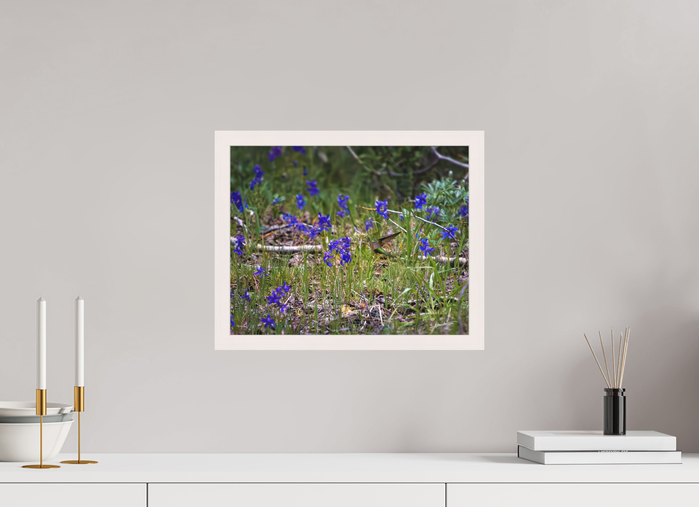 15 x 12″, Shadow Box Frame Feeding Hummingbird