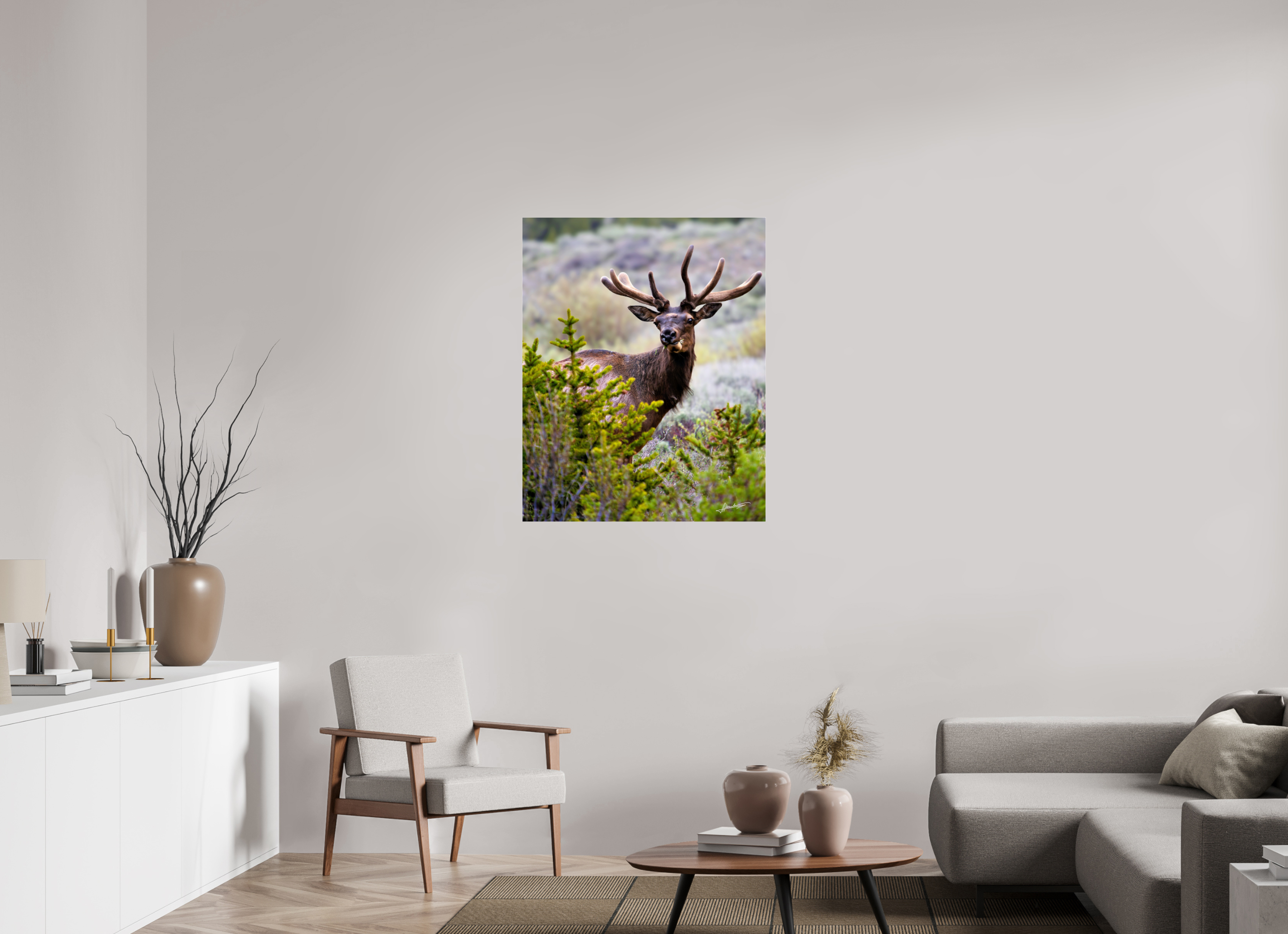 31 x 38.7″, Photo Print Under Acrylic Glass Velvet Bull
