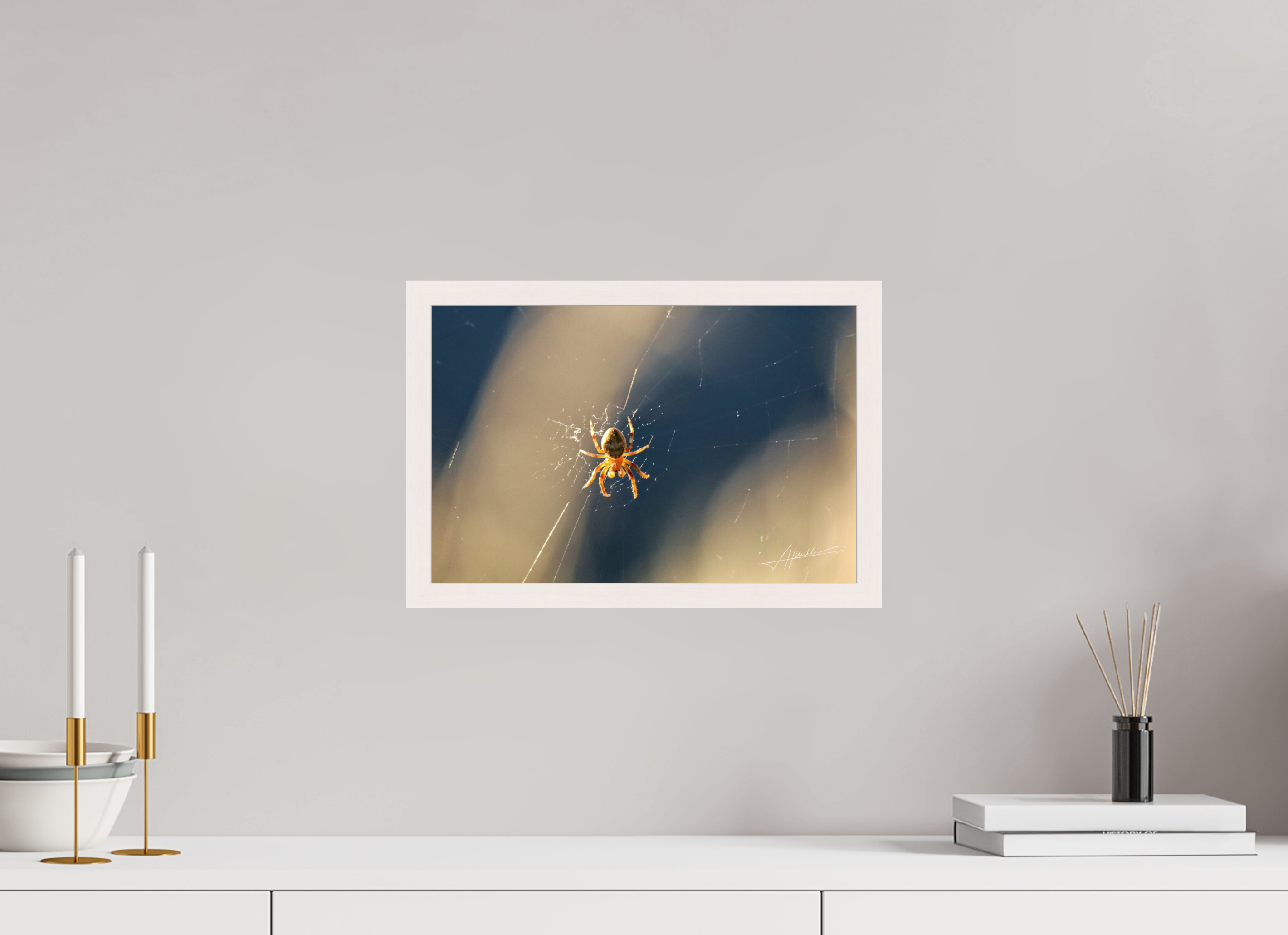 15 x 10″, Gallery Frame Tattered Web