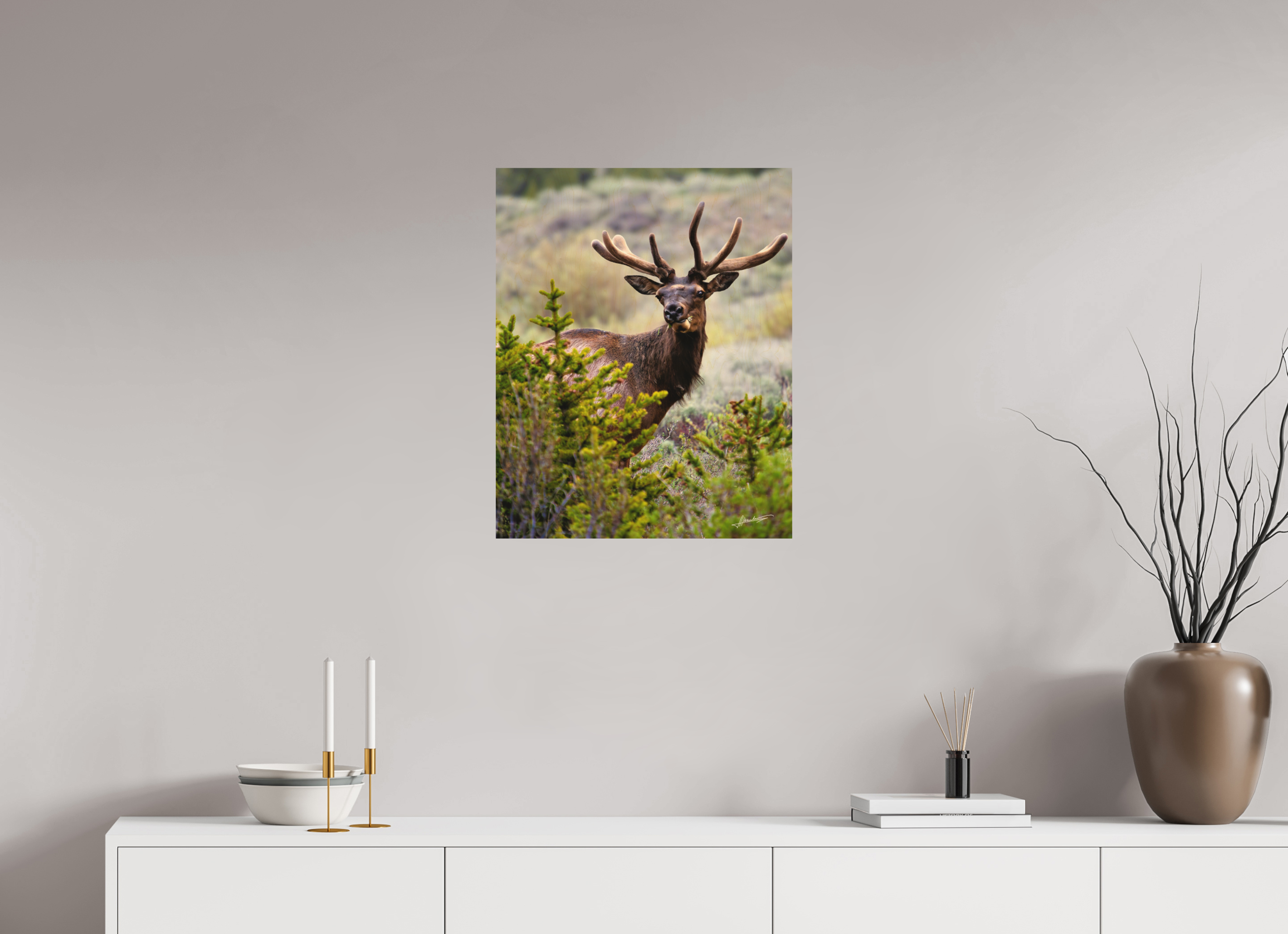 20 x 25″, Direct Photo Print on Wood Velvet Bull