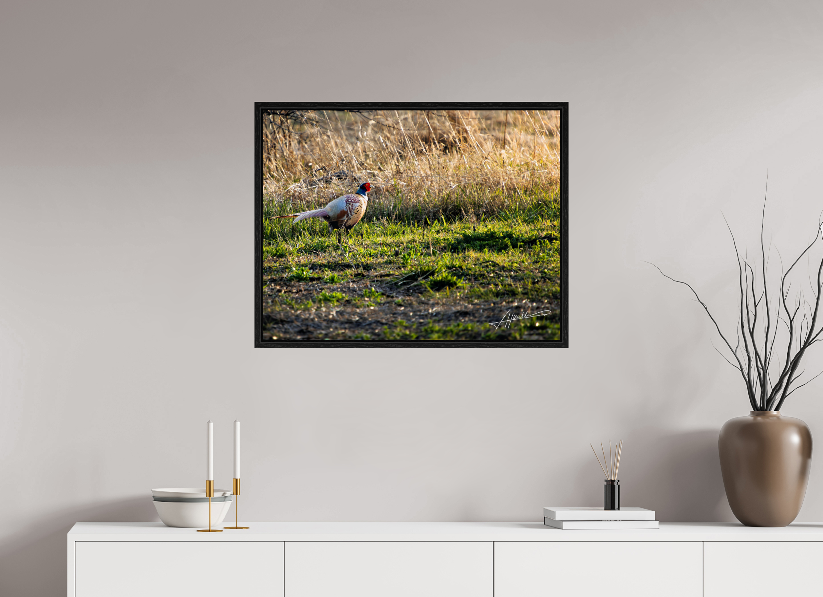 31.1 x 24″, Floater Frame Evening Pheasant