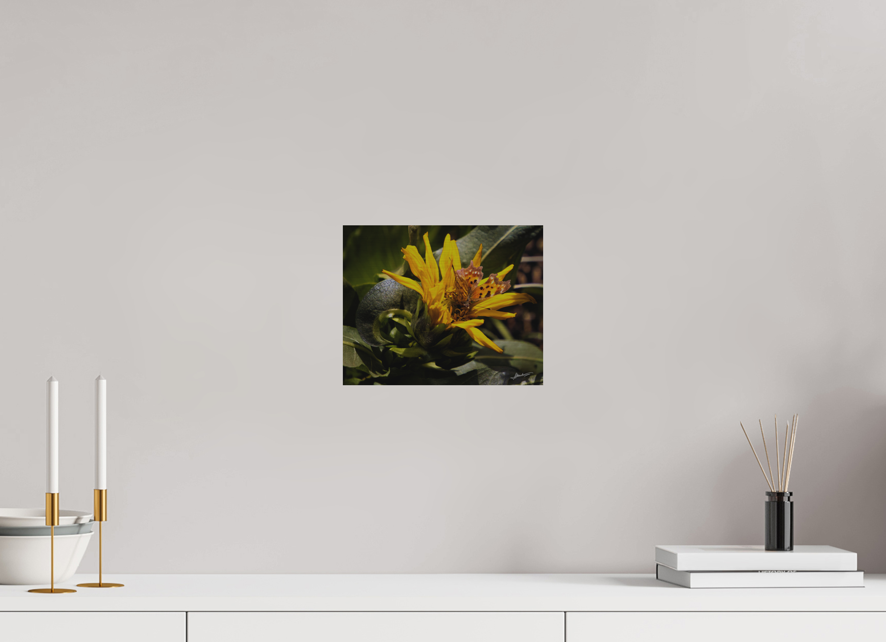 10 x 8″, Direct Brushed Aluminum Busy Butterfly