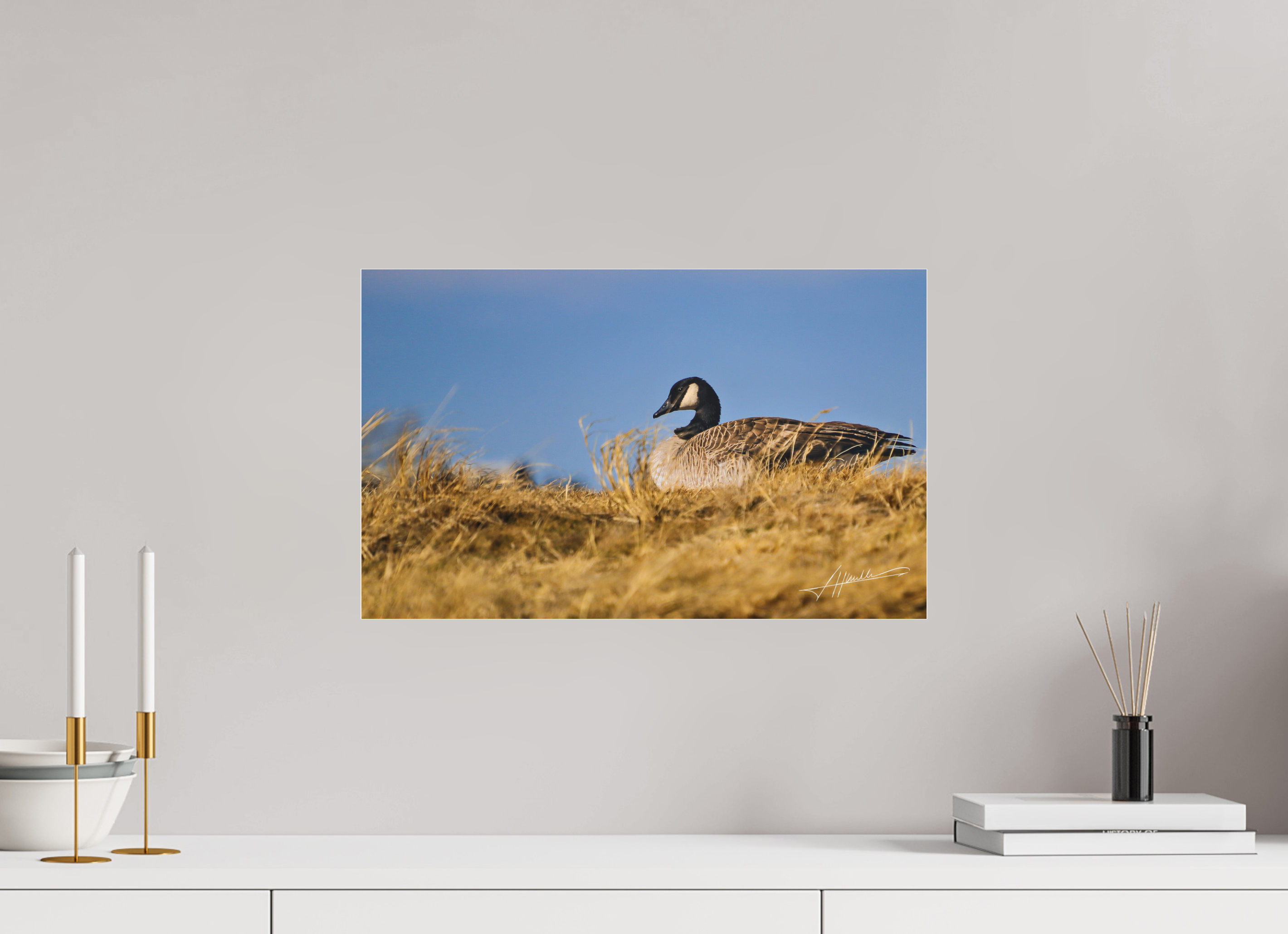 19.4 x 12″, Fine Pigment Under Acrylic The Nesting Goose