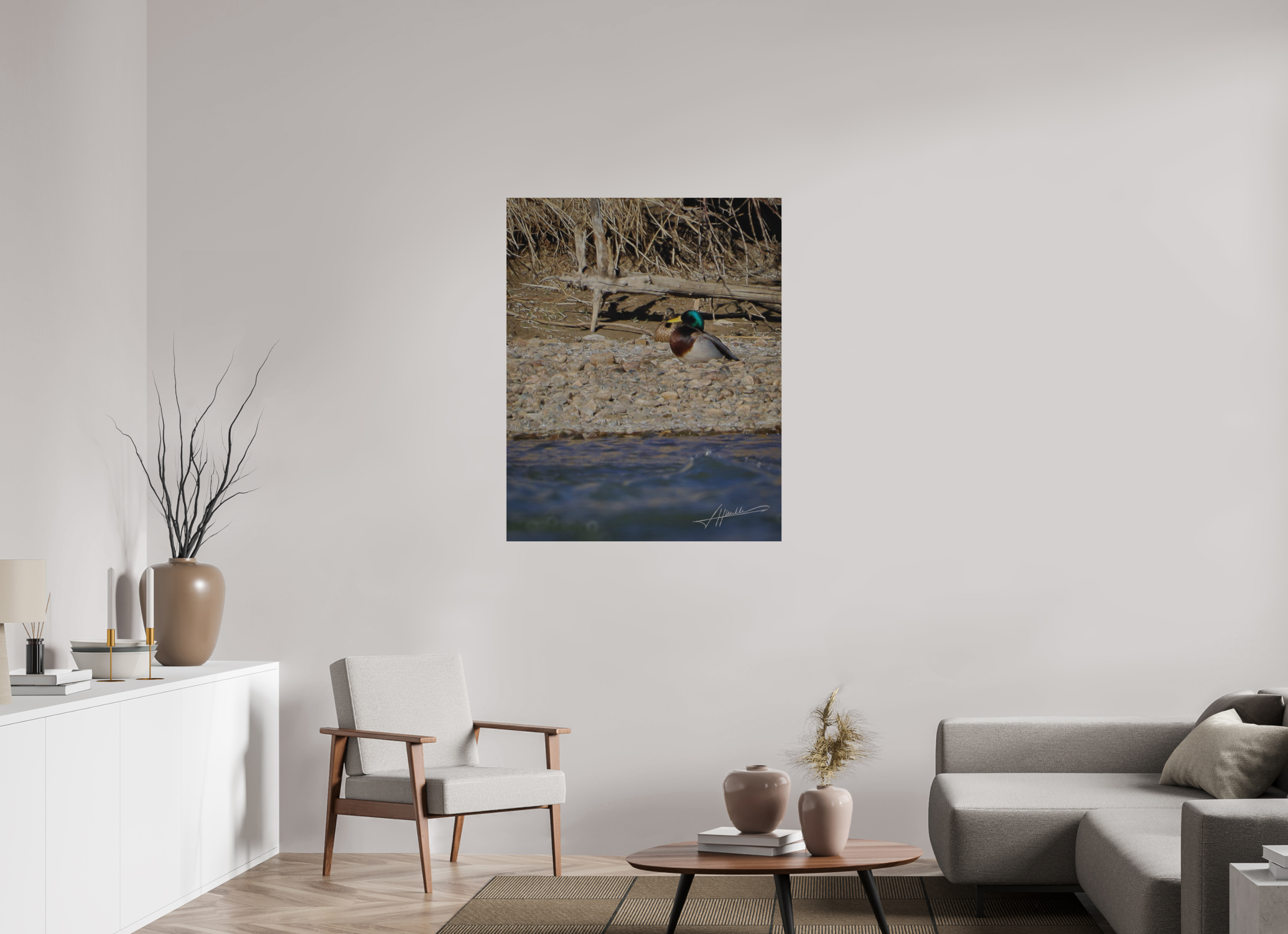 35 x 43.7″, Direct Brushed Aluminum Sunbathing Mallard
