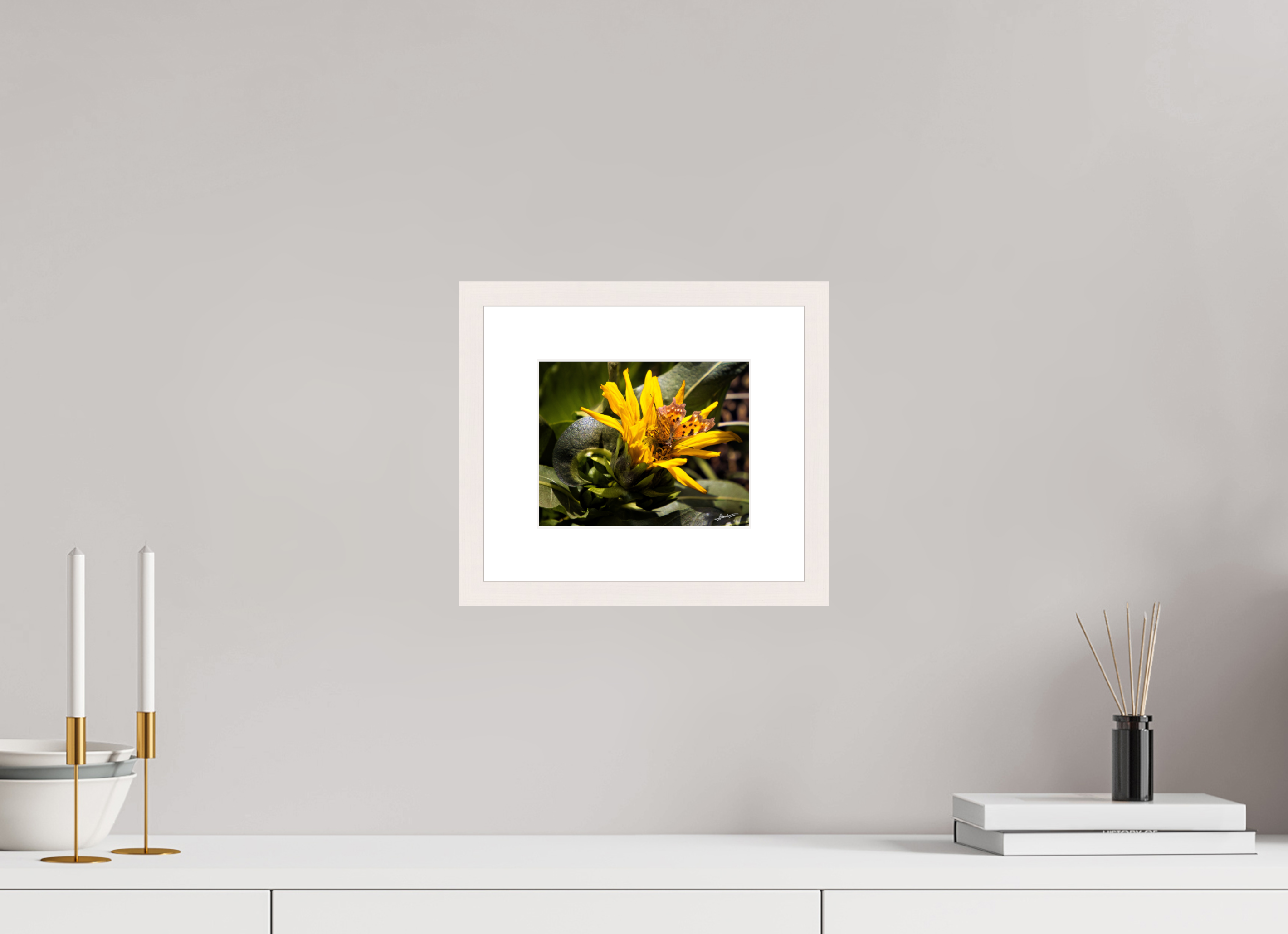 7.5 x 6″, Solid Wood Frame with Passe-partout Busy Butterfly