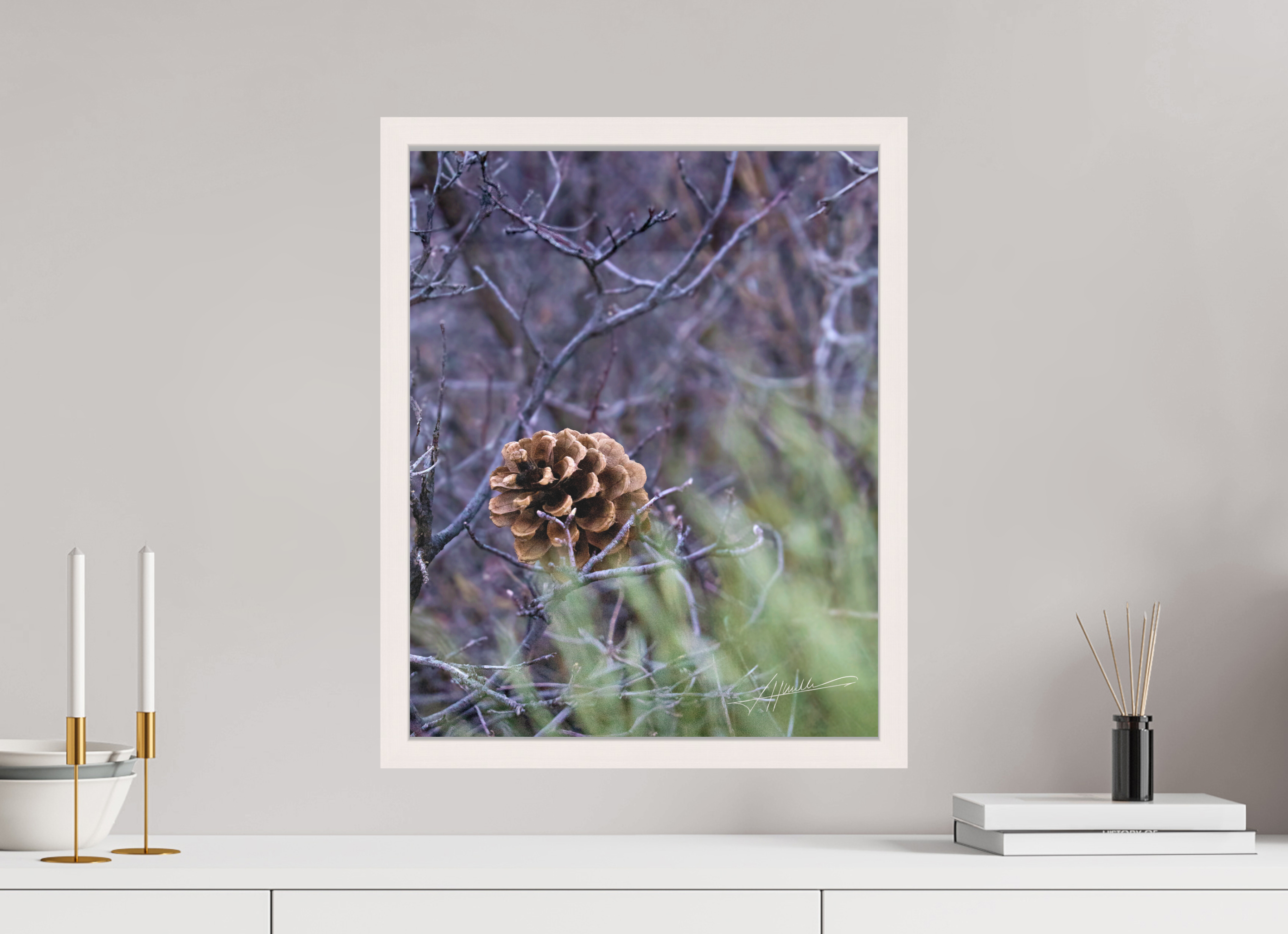 16 x 20″, Shadow Box Frame Mountain Pinecone
