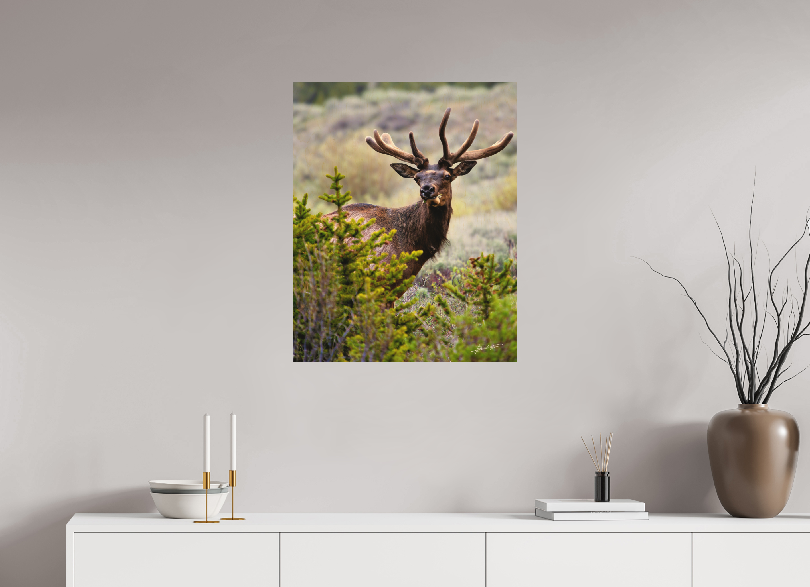 24 x 30″, Direct Photo Print on Wood Velvet Bull