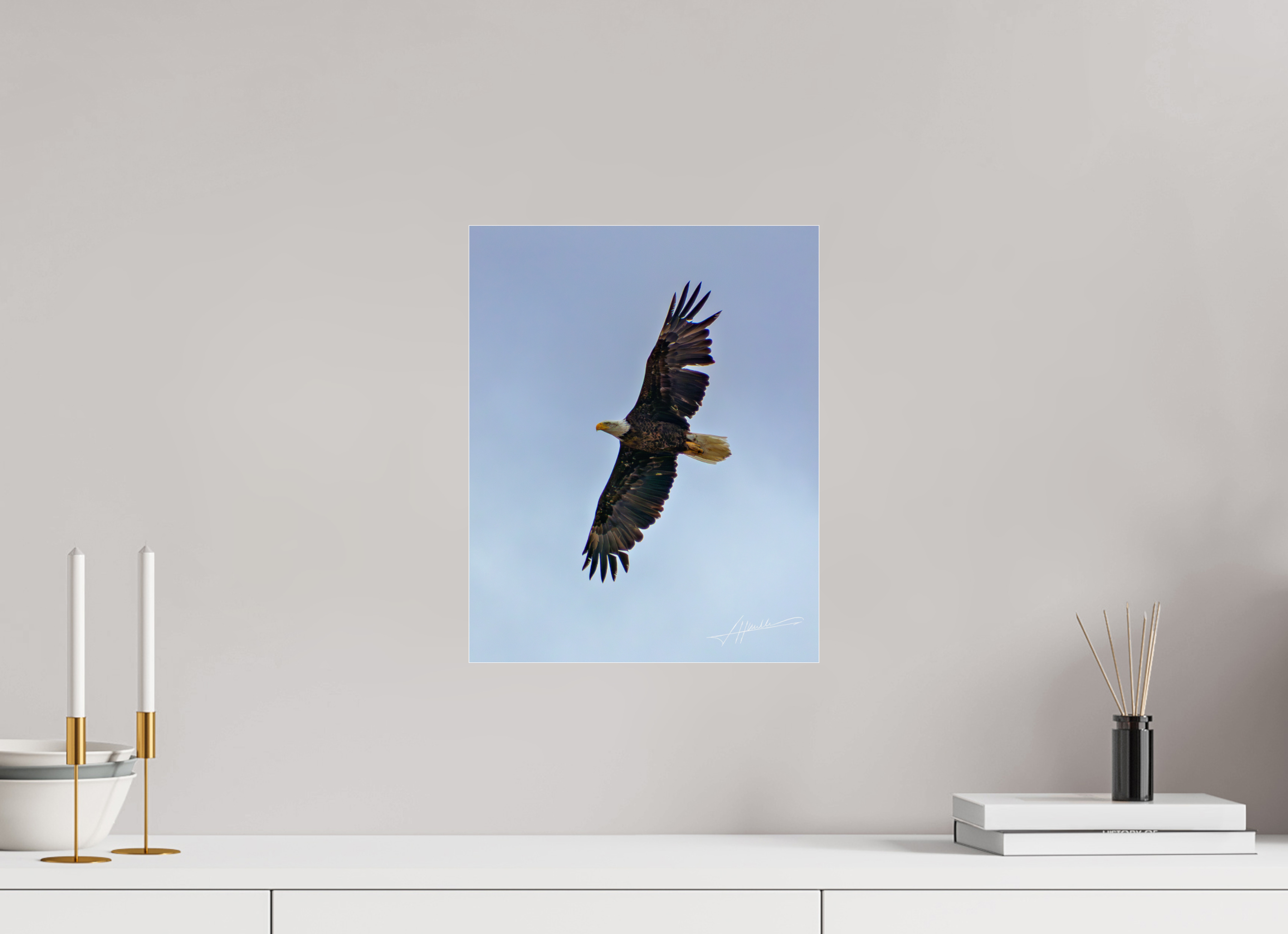 12 x 15″, Photo Print Under Acrylic Glass Wings Spread