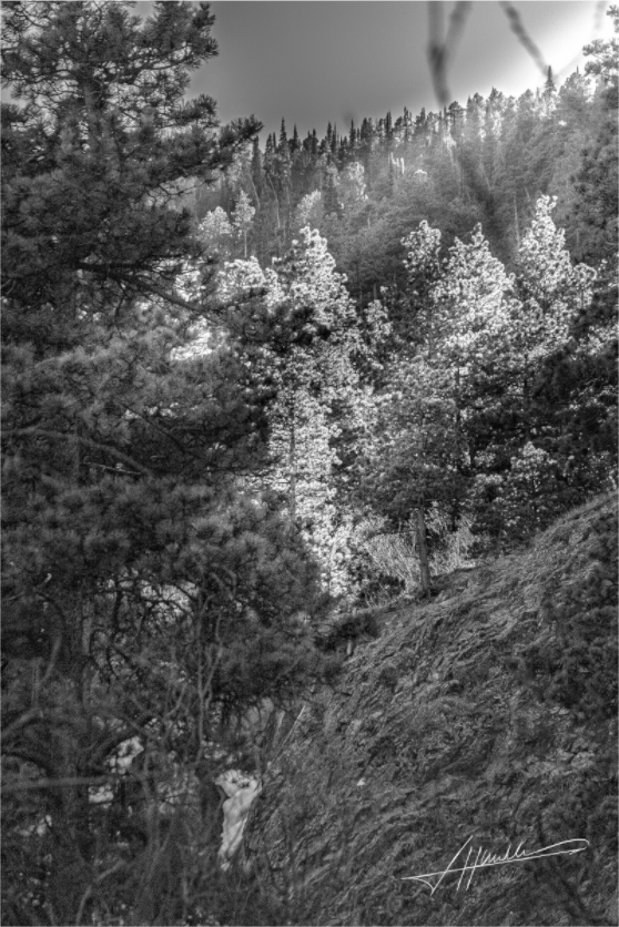 Main image Sun in the Mountains