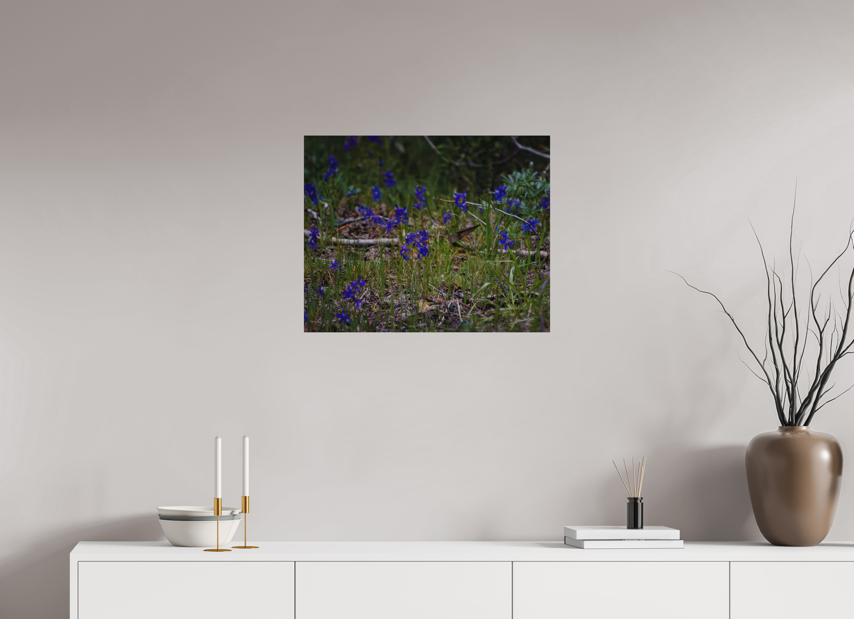 25 x 20″, Direct Brushed Aluminum Feeding Hummingbird