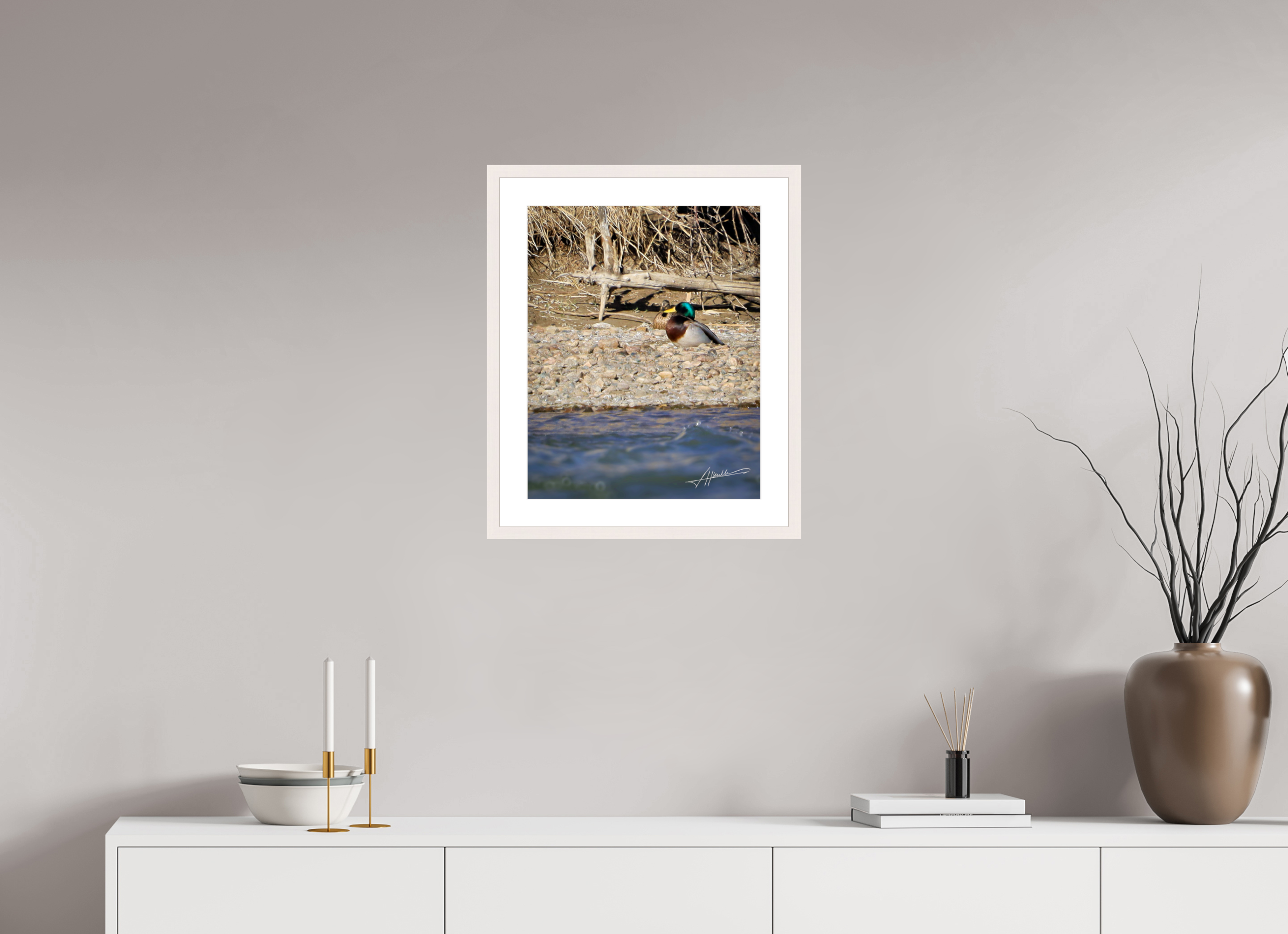 16 x 20″, Solid Wood Frame with Passe-partout Sunbathing Mallard