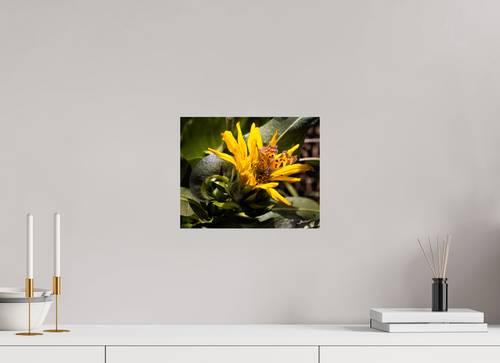 12.5 x 10″, Fine Art Print Busy Butterfly