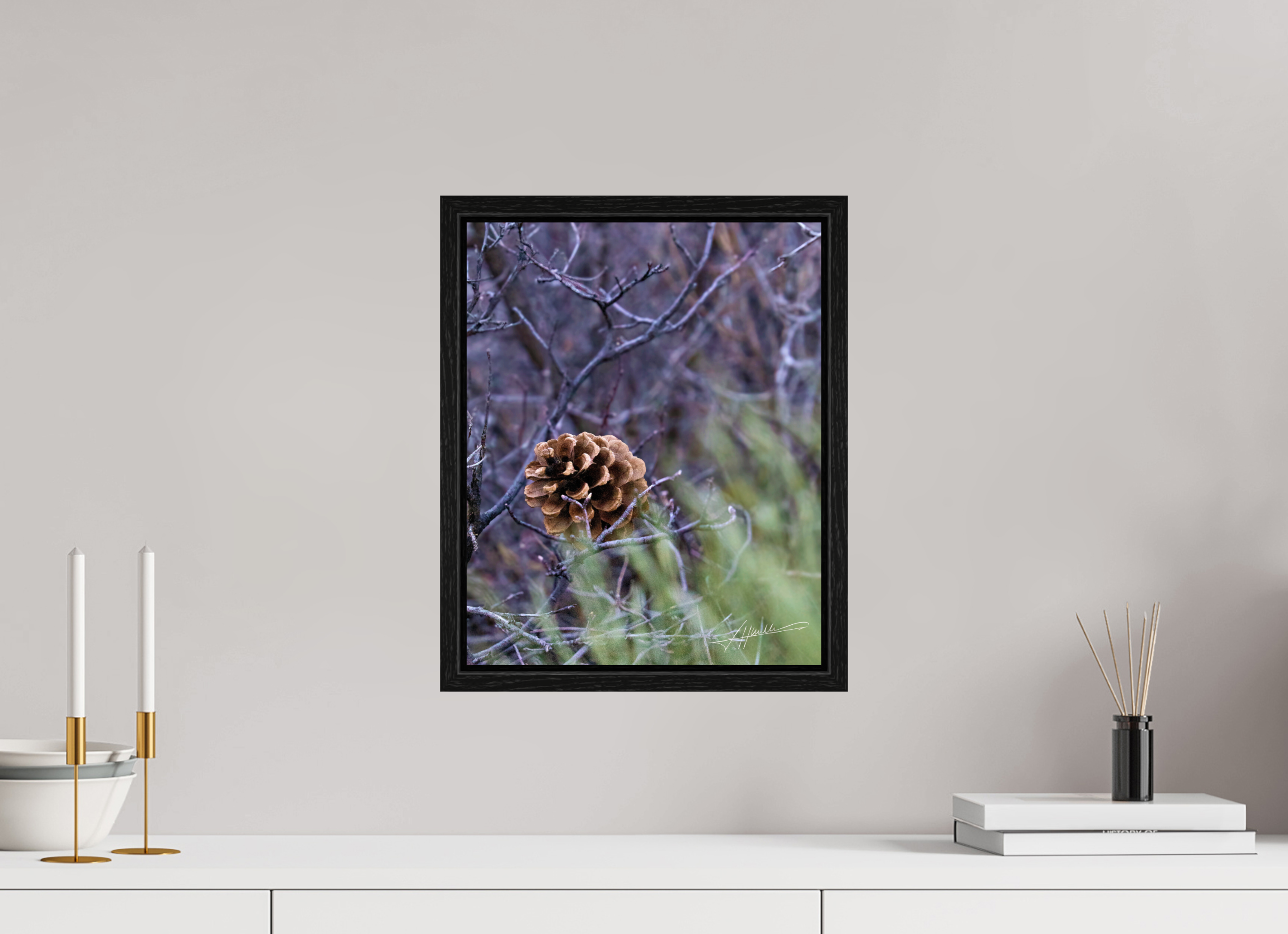 12 x 15″, Floater Frame Mountain Pinecone