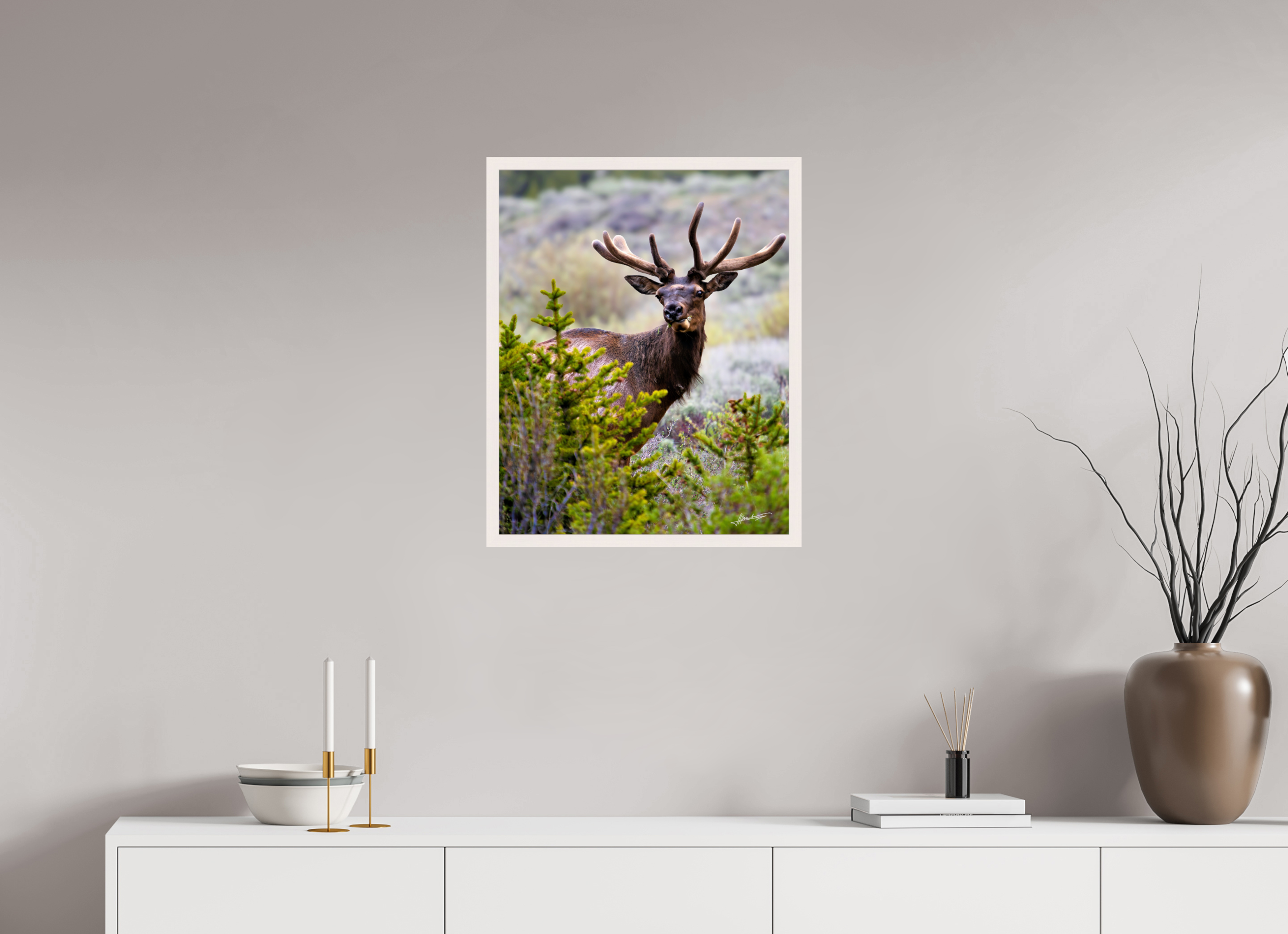20 x 25″, Gallery Frame Velvet Bull