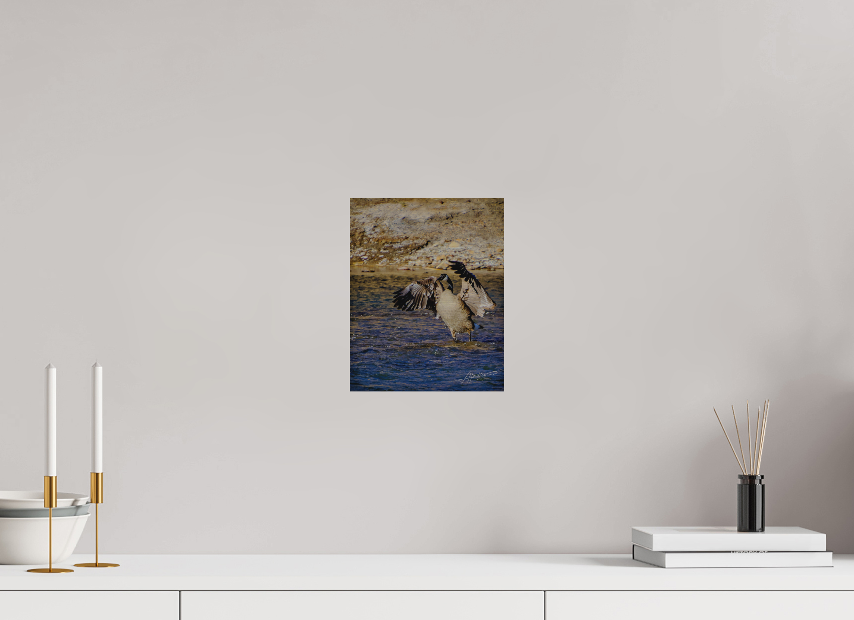 8 x 10″, Direct Brushed Aluminum The Bathing Goose