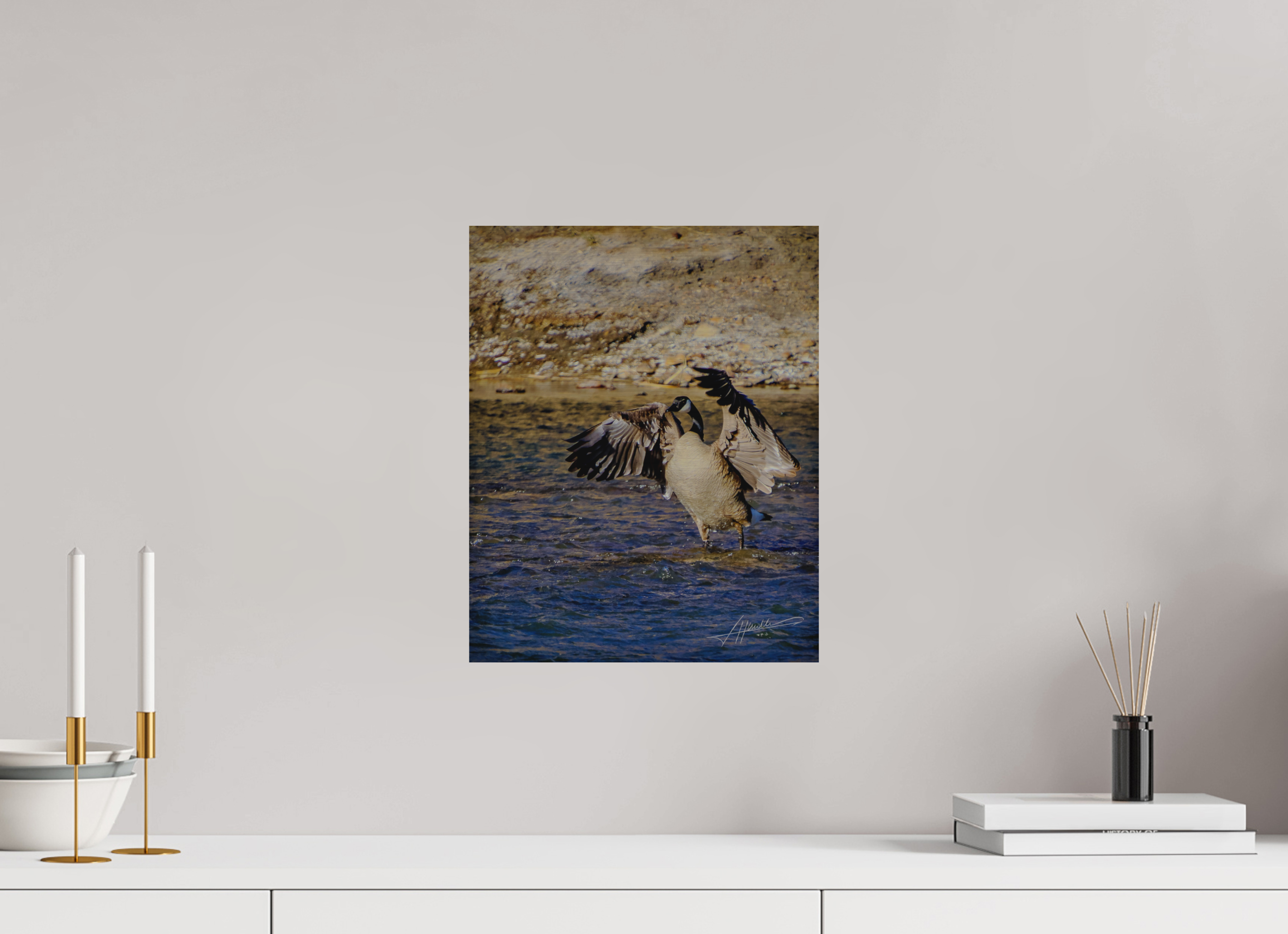 12 x 15″, Direct Brushed Aluminum The Bathing Goose