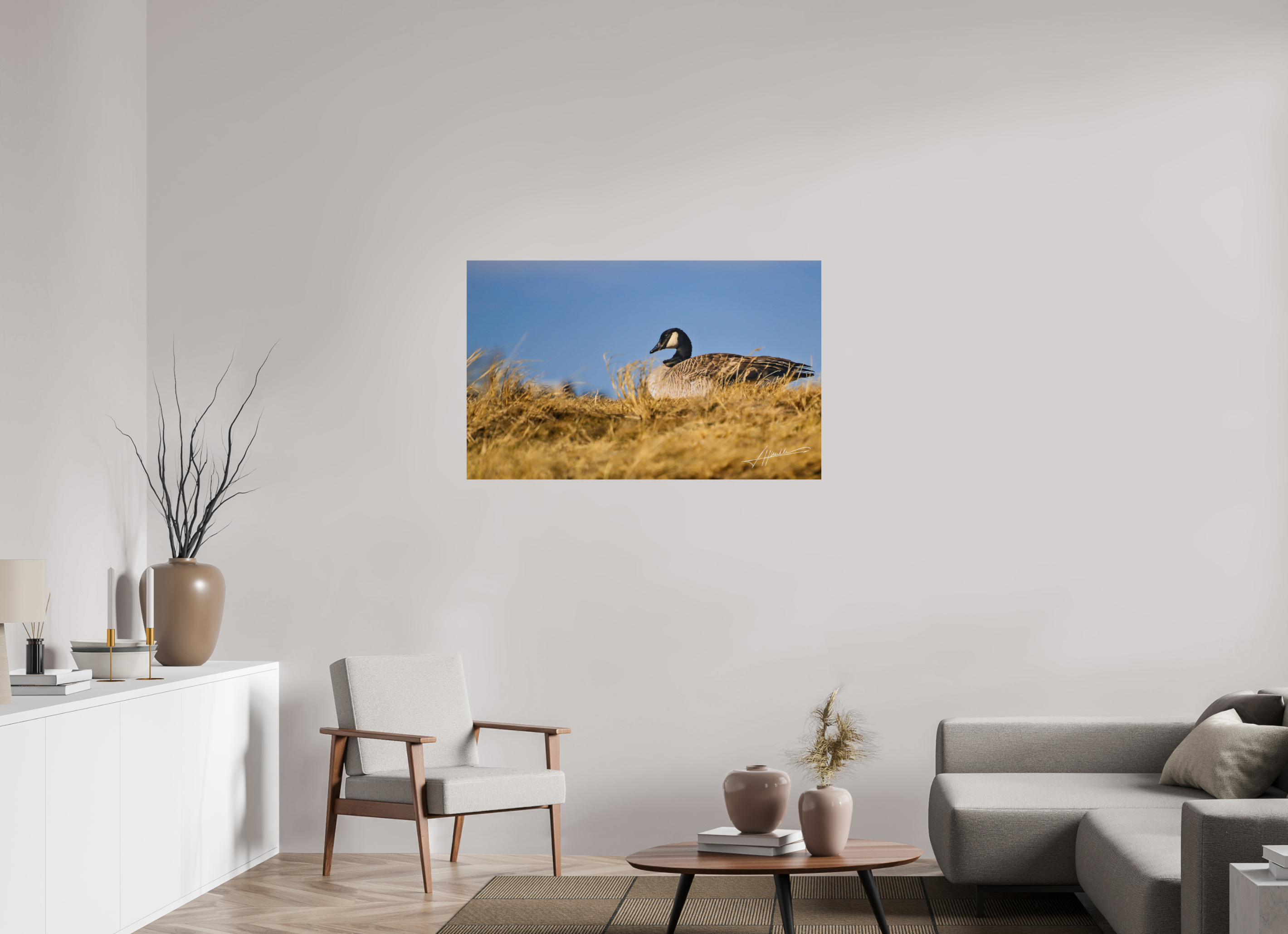 45.3 x 28″, Photo Print On Fuji Crystal DP II The Nesting Goose