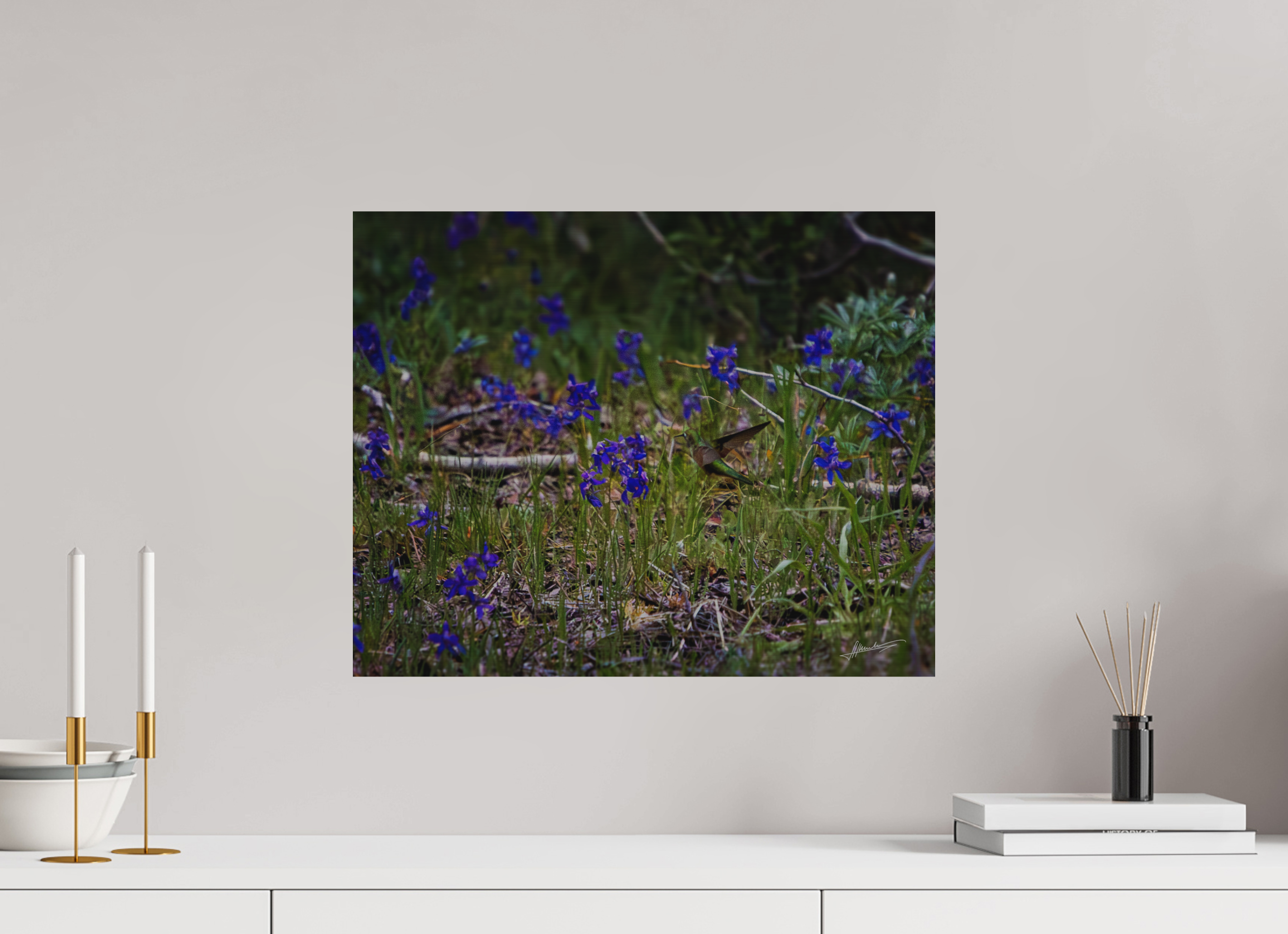 20 x 16″, Direct Brushed Aluminum Feeding Hummingbird