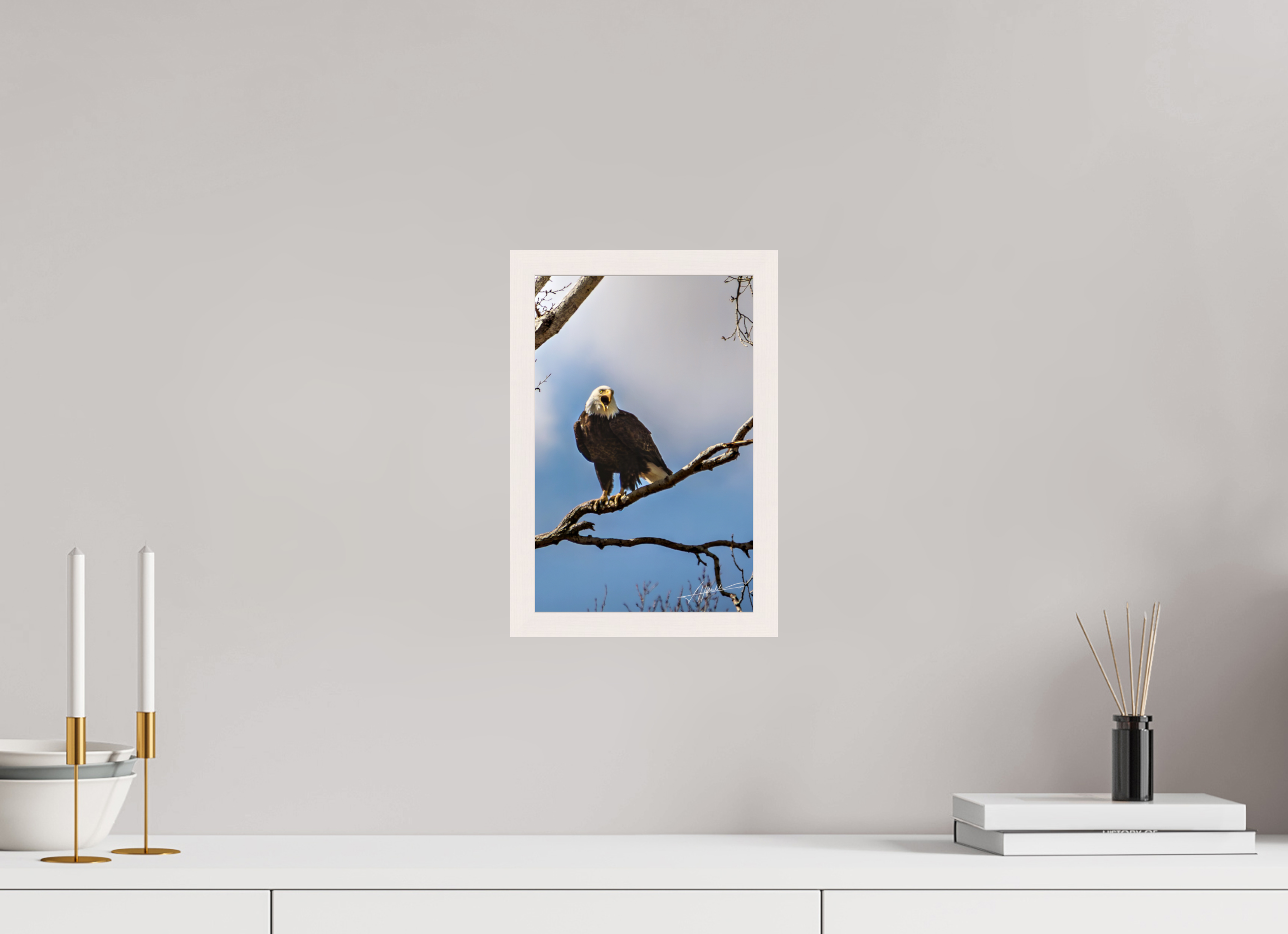 8 x 12″, Gallery Frame The Eagle's Call
