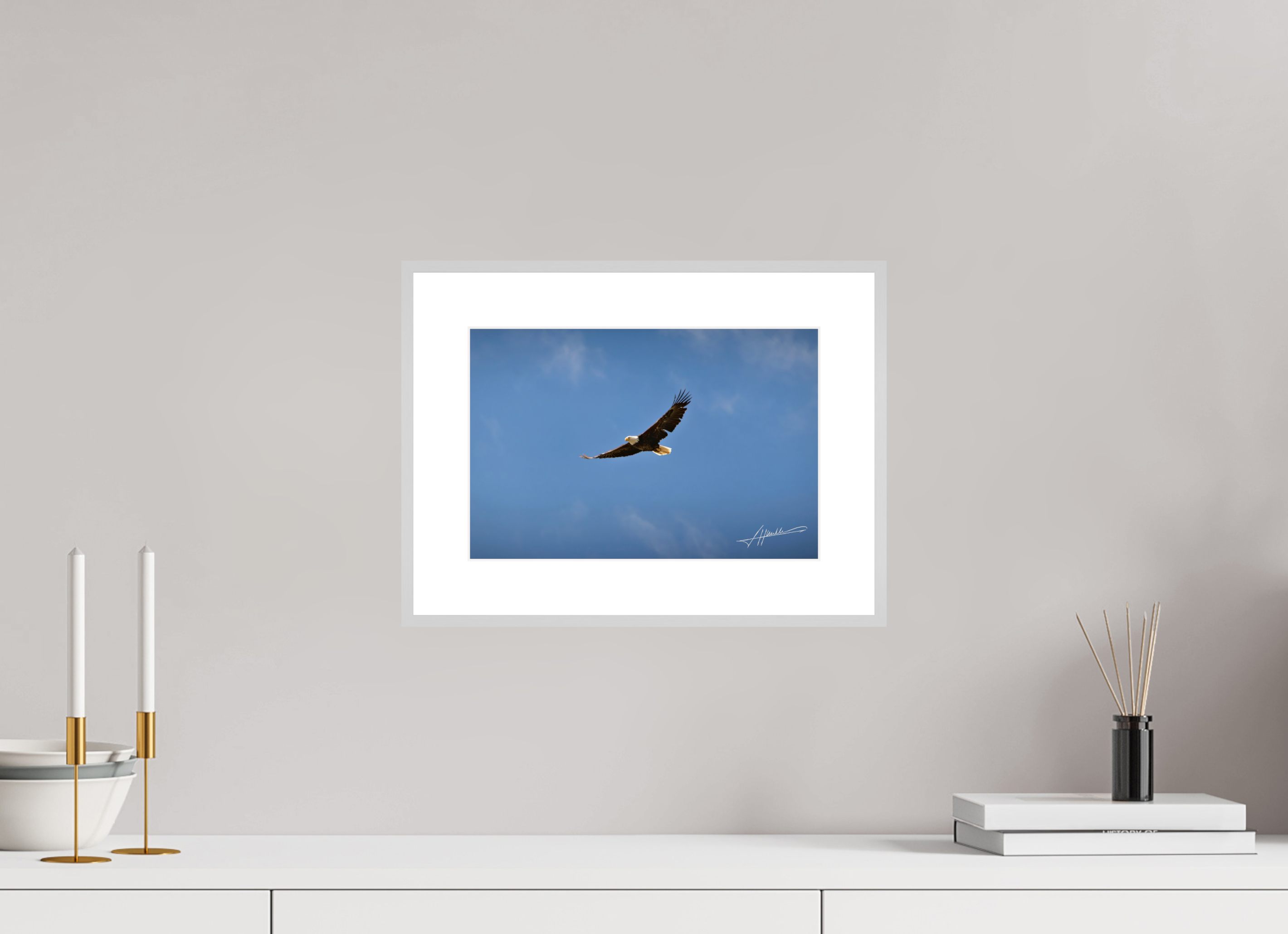 12 x 8″, Changeable Magnetic Frame Soaring Free