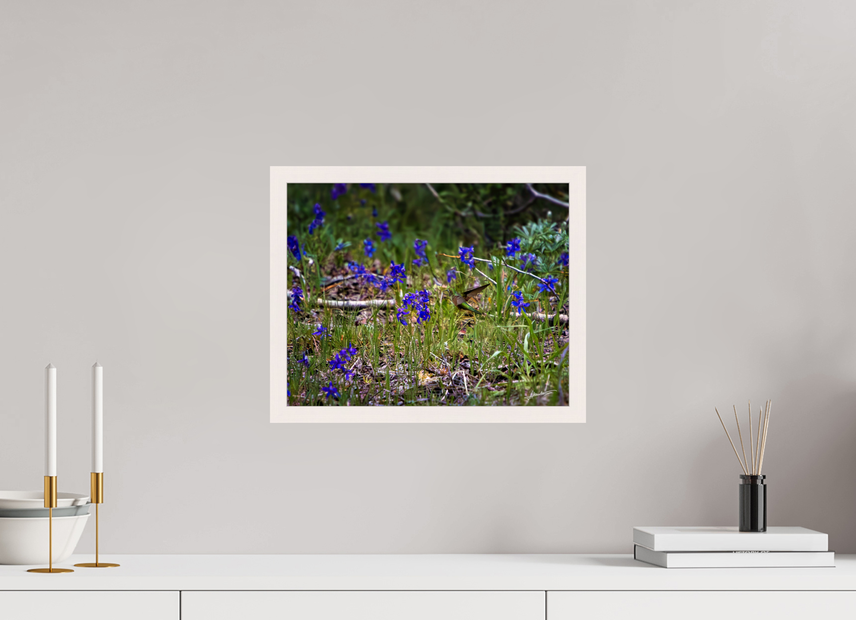 15 x 12″, Gallery Frame Feeding Hummingbird