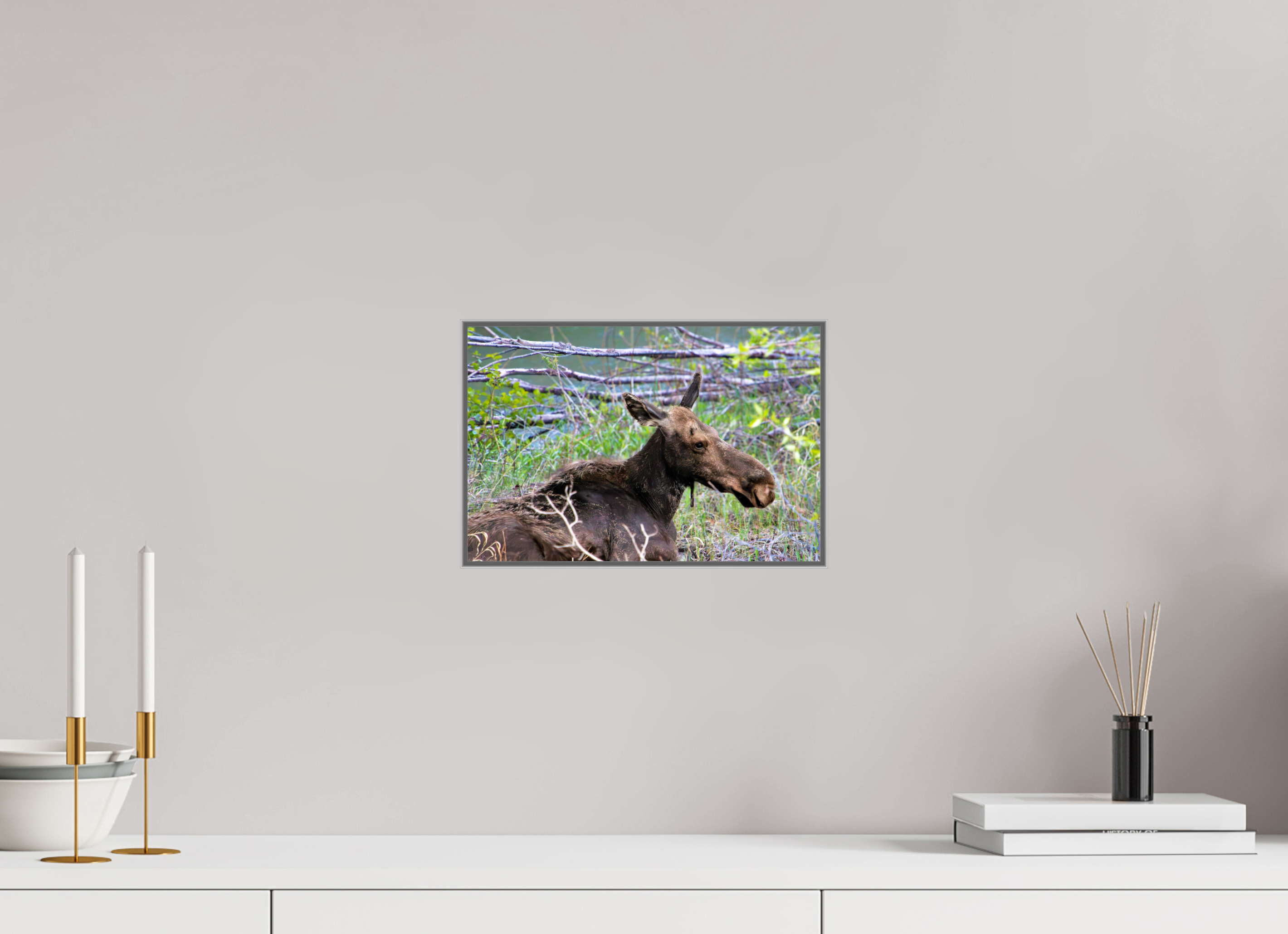 12 x 8″, Aluminum ArtBox Moose Relaxing