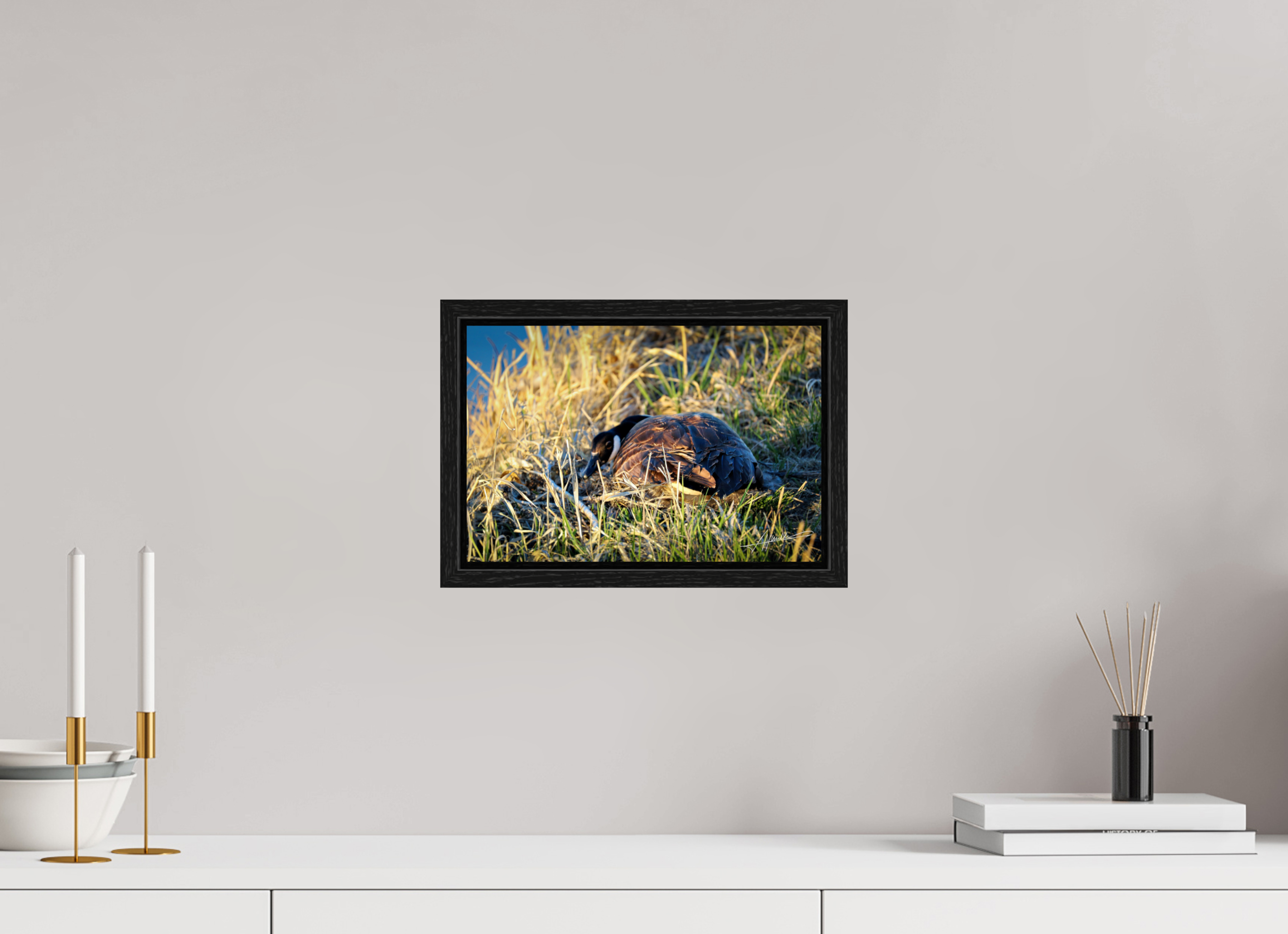 12 x 8″, Floater Frame New Nester