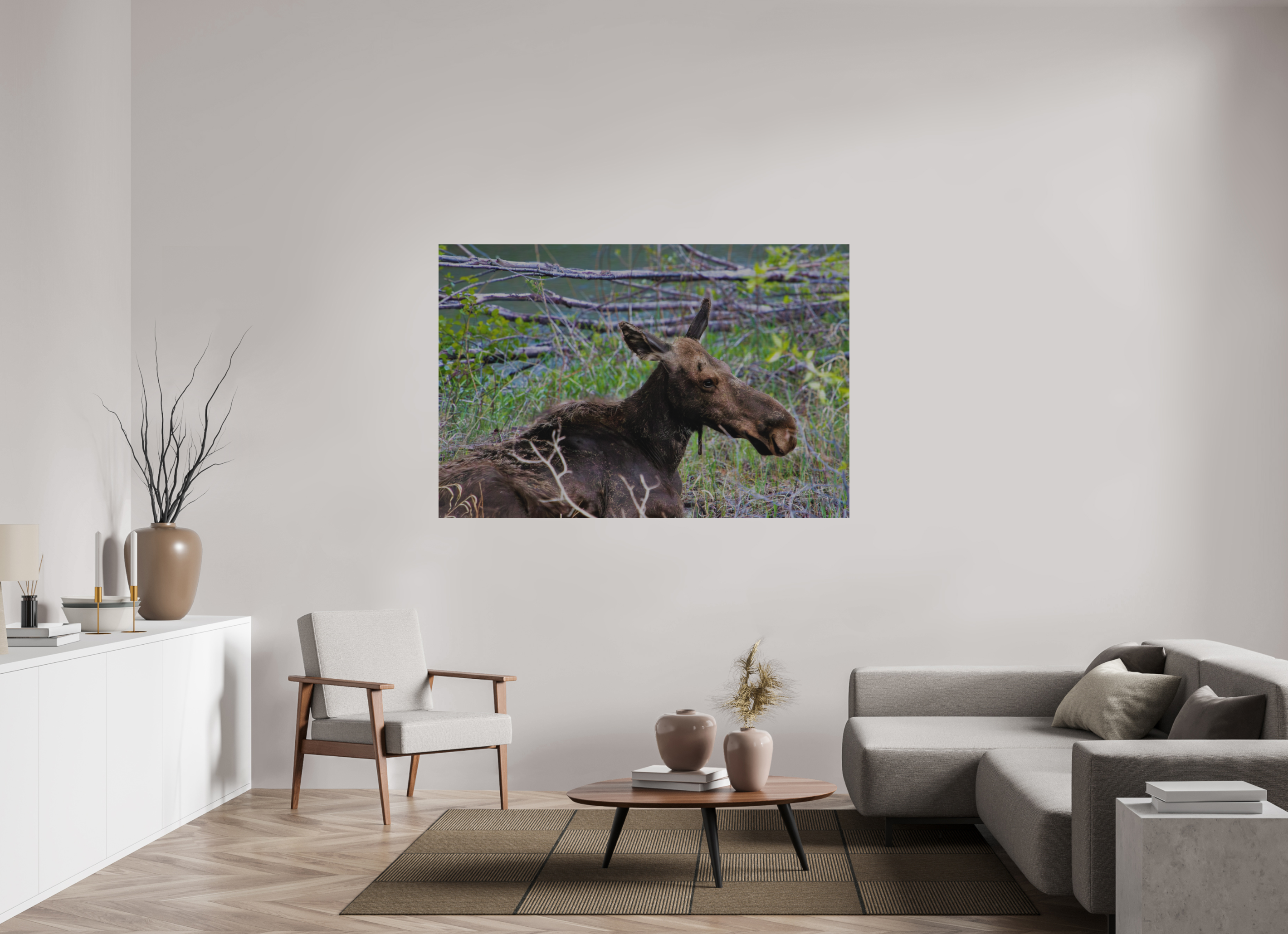 66 x 44″, Direct Brushed Aluminum Moose Relaxing