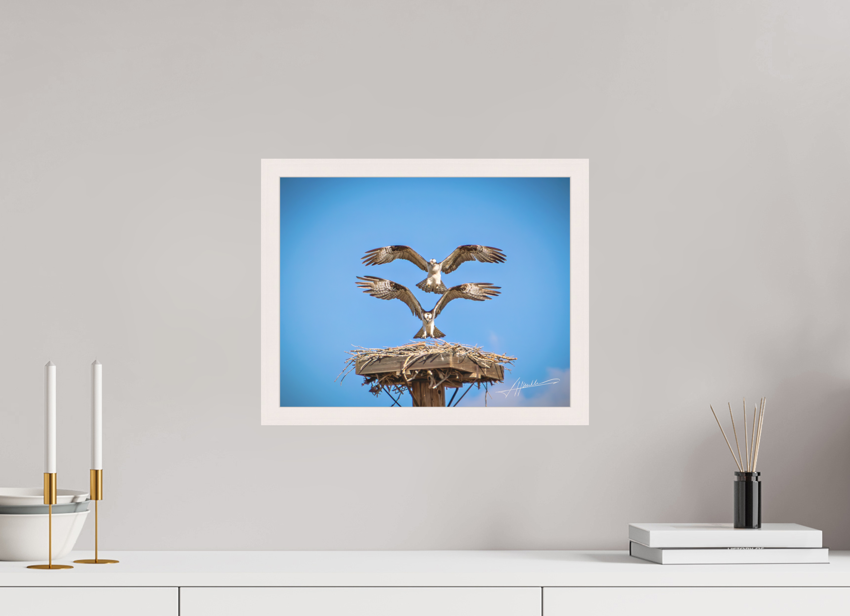 15 x 12″, Shadow Box Frame Two Osprey Landing