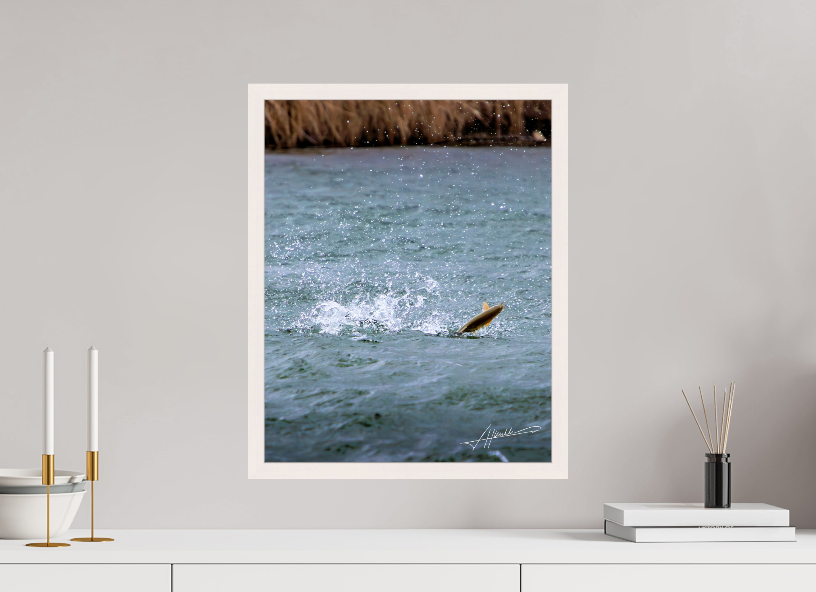 16 x 20″, Gallery Frame Jumping Rainbow Trout
