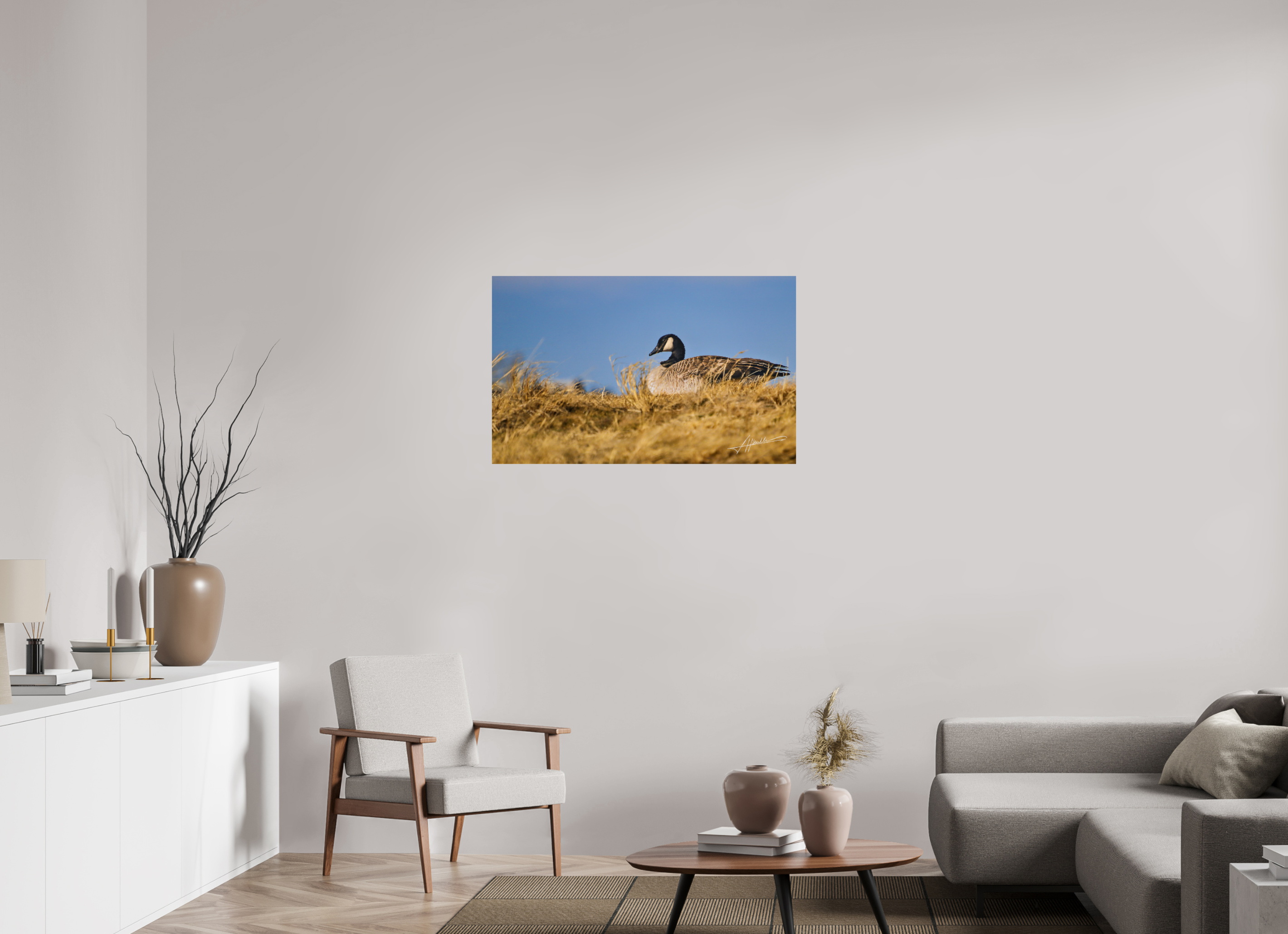 38.9 x 24″, Fine Art Print The Nesting Goose