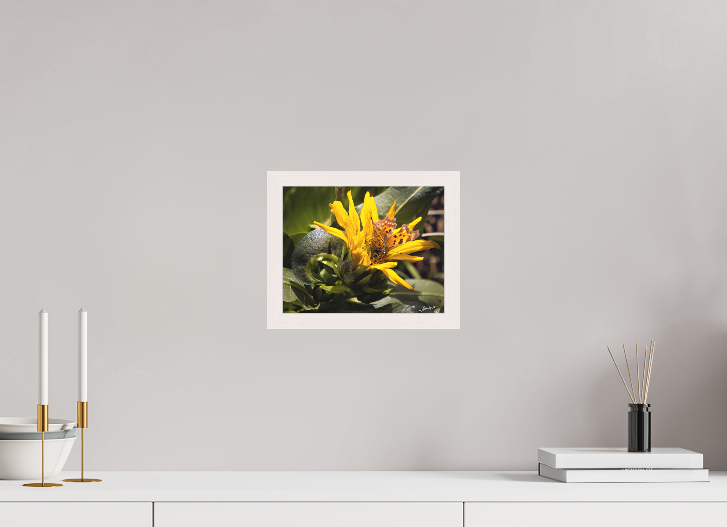 10 x 8″, Shadow Box Frame Busy Butterfly