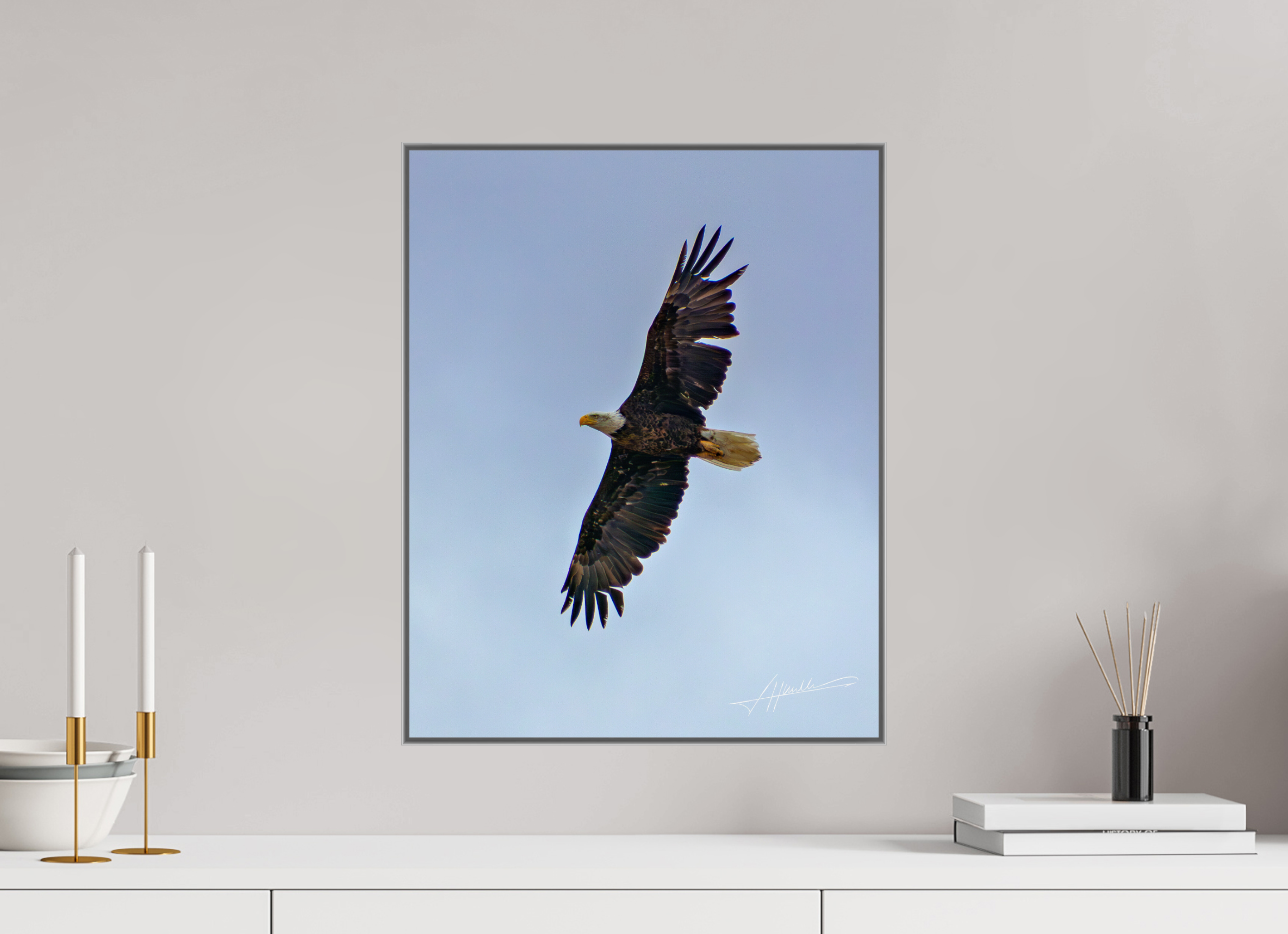 16 x 20″, Aluminum ArtBox Wings Spread