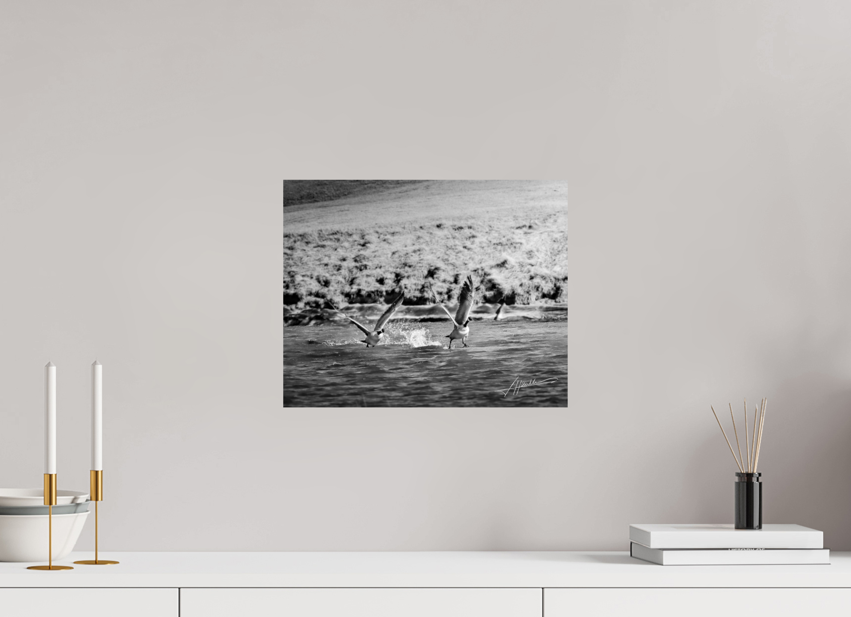 15 x 12″, Photo Print On Ilford Baryta Paper Geese Taking Flight