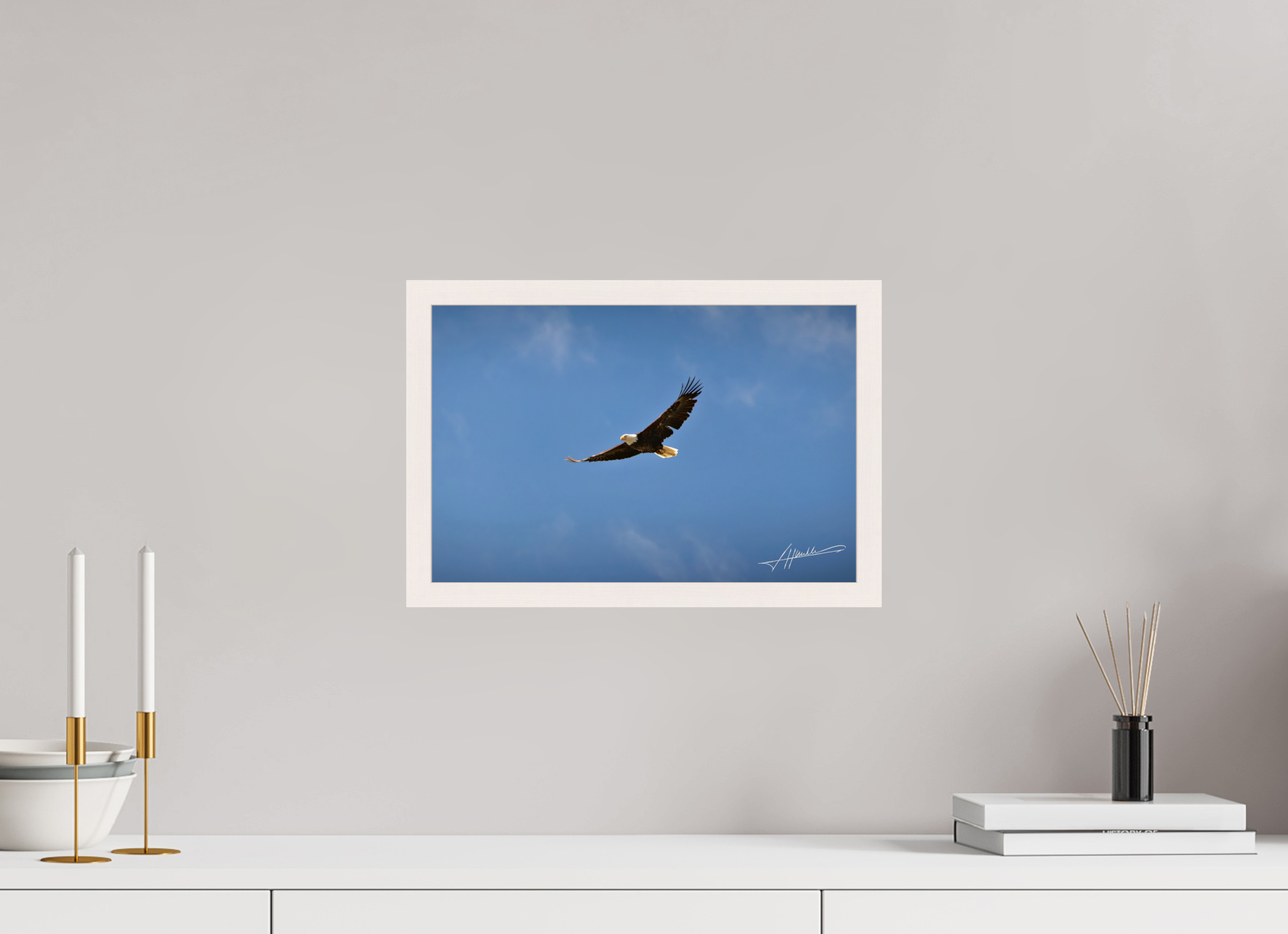 15 x 10″, Gallery Frame Soaring Free