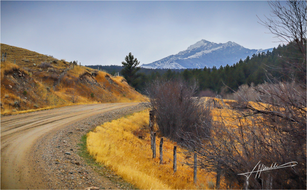 Main image The Road to Adventure