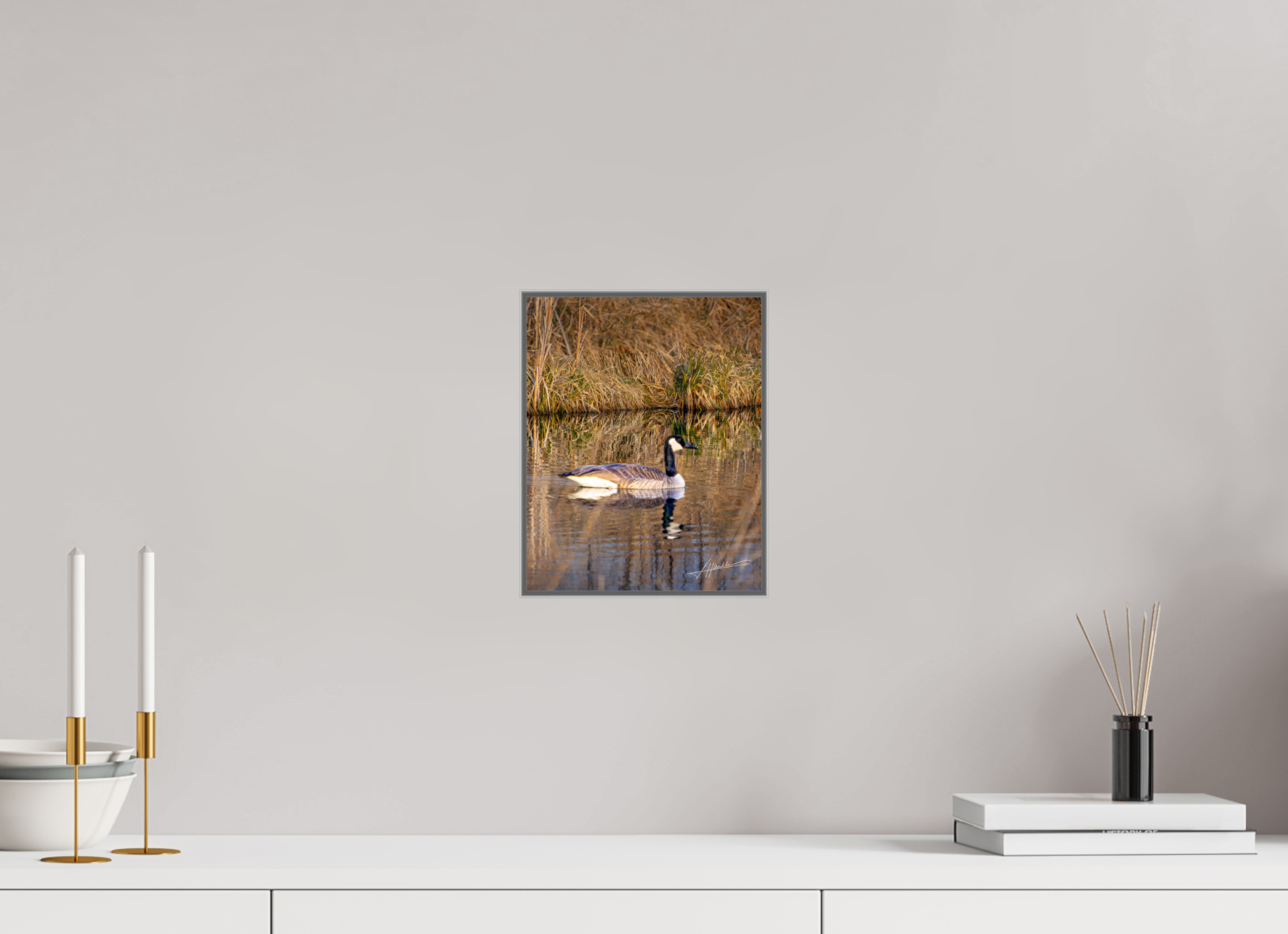 8 x 10″, Aluminum ArtBox A Swimming Reflection