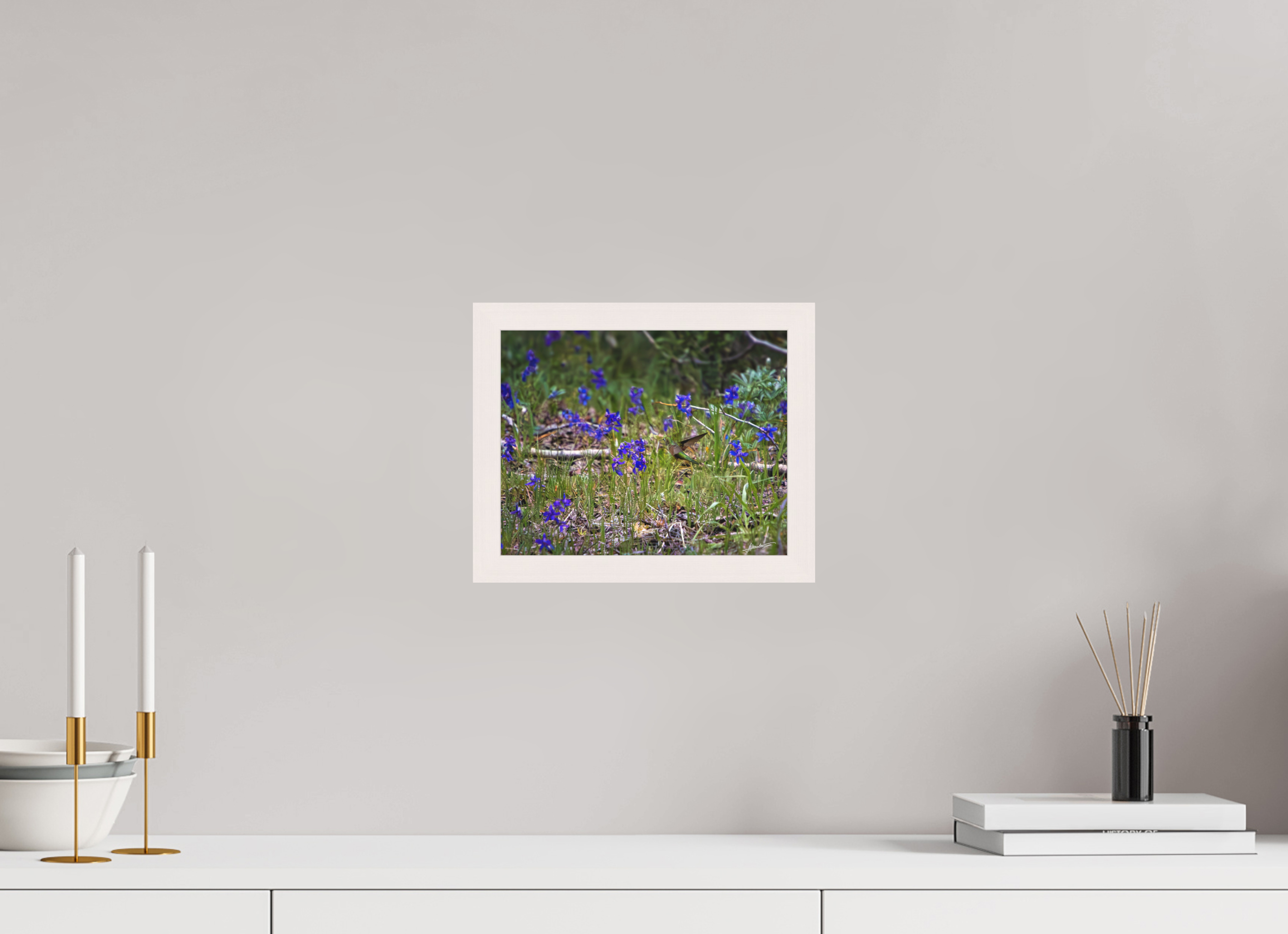 10 x 8″, Shadow Box Frame Feeding Hummingbird