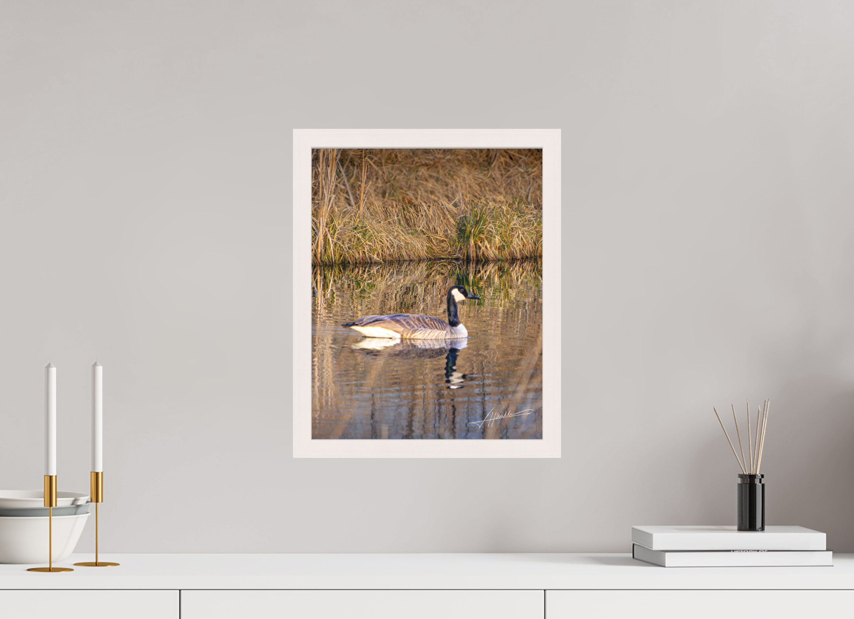 12 x 15″, Shadow Box Frame A Swimming Reflection