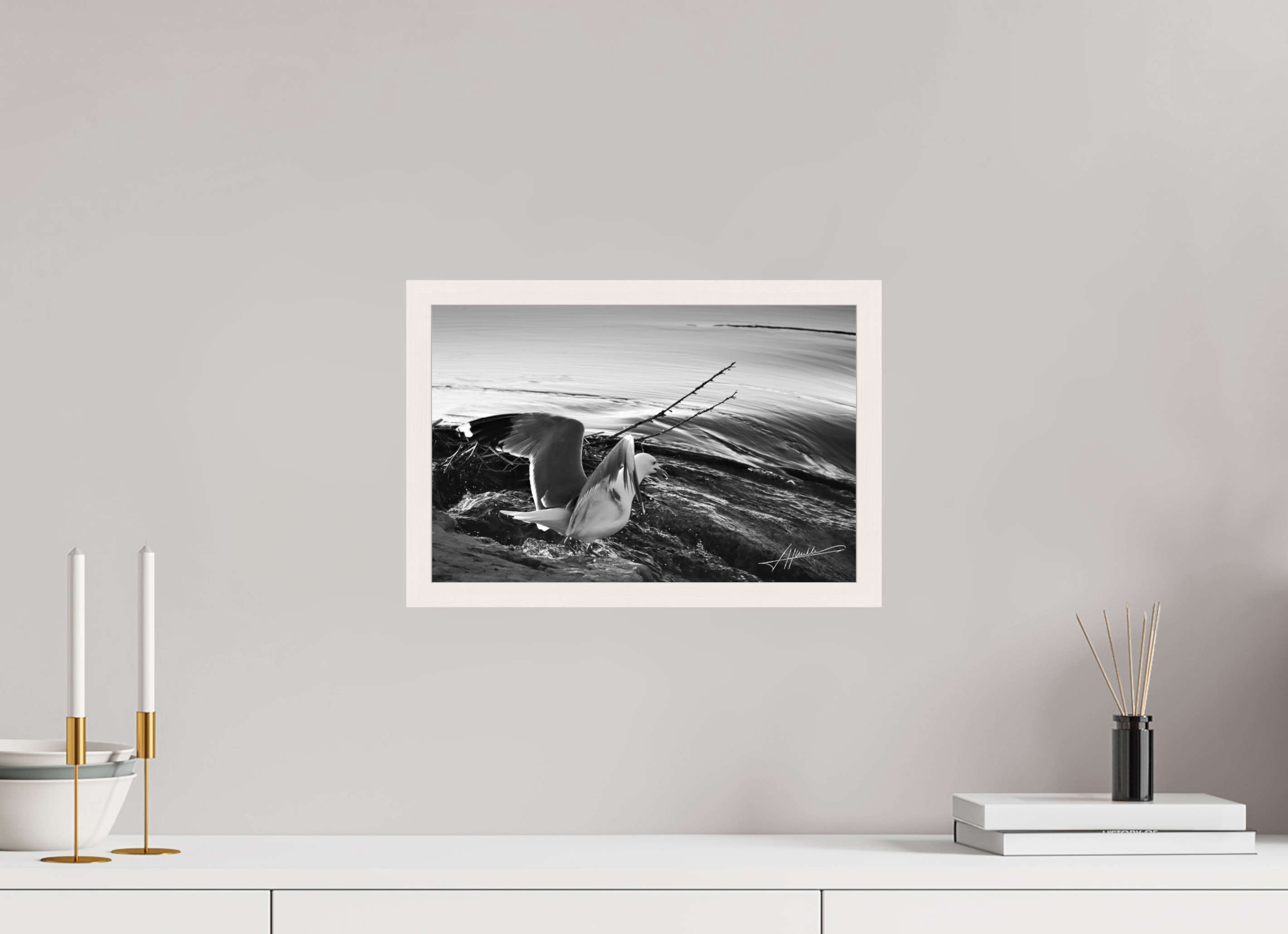 15 x 10″, Gallery Frame Seagull Takes Flight