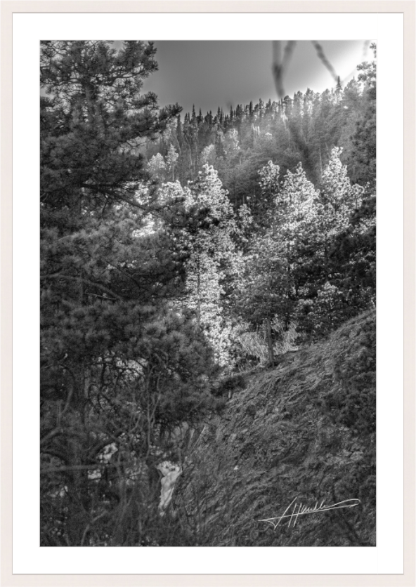 Main image Sun in the Mountains