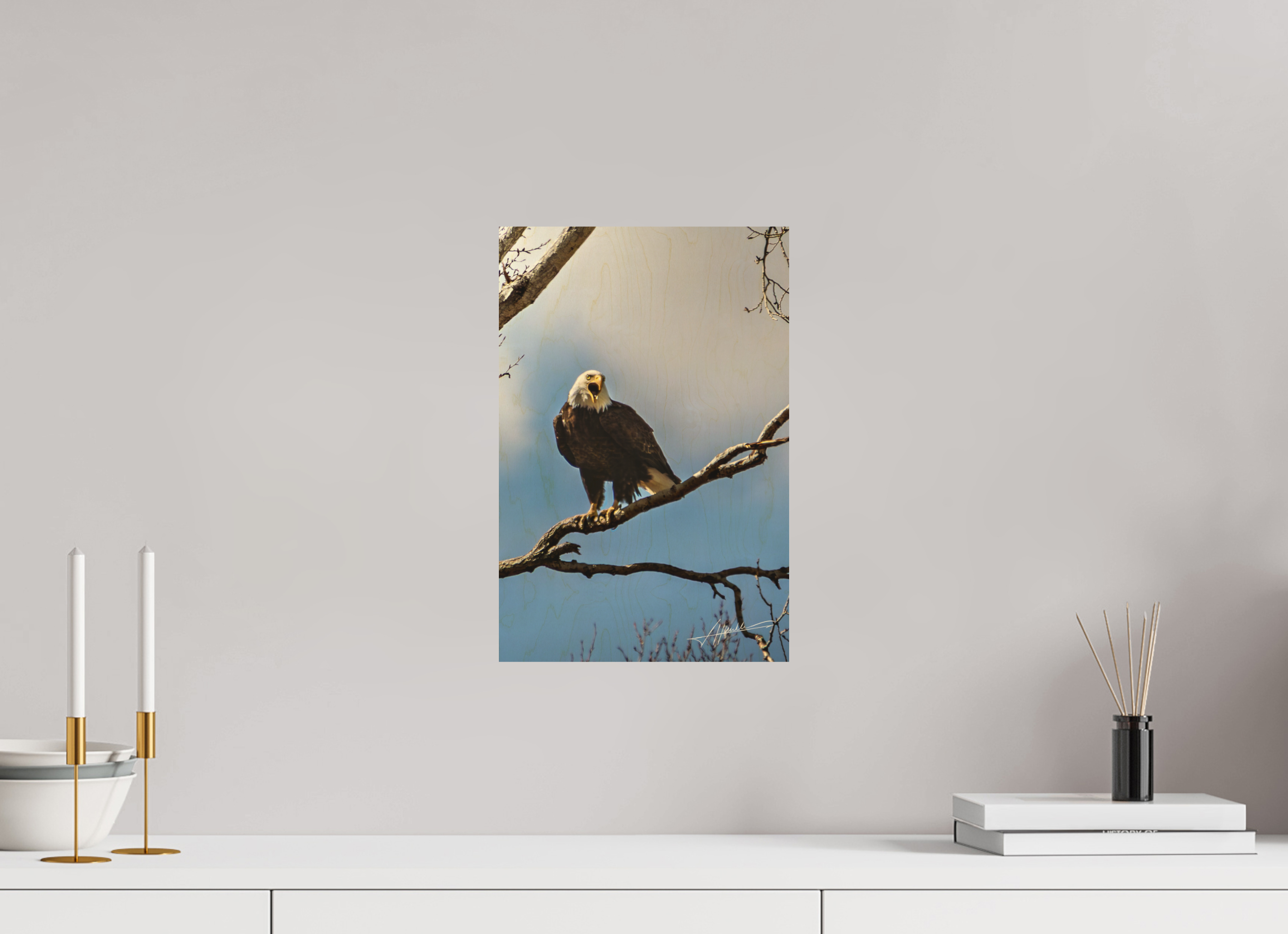 10 x 15″, Direct Photo Print on Wood The Eagle's Call