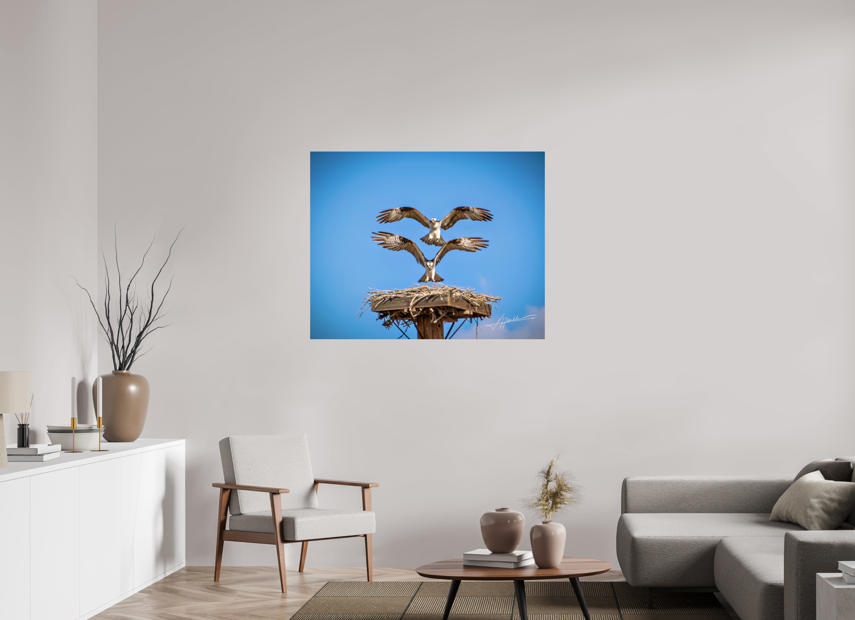 45 x 36″, Fine Art Dibond Two Osprey Landing
