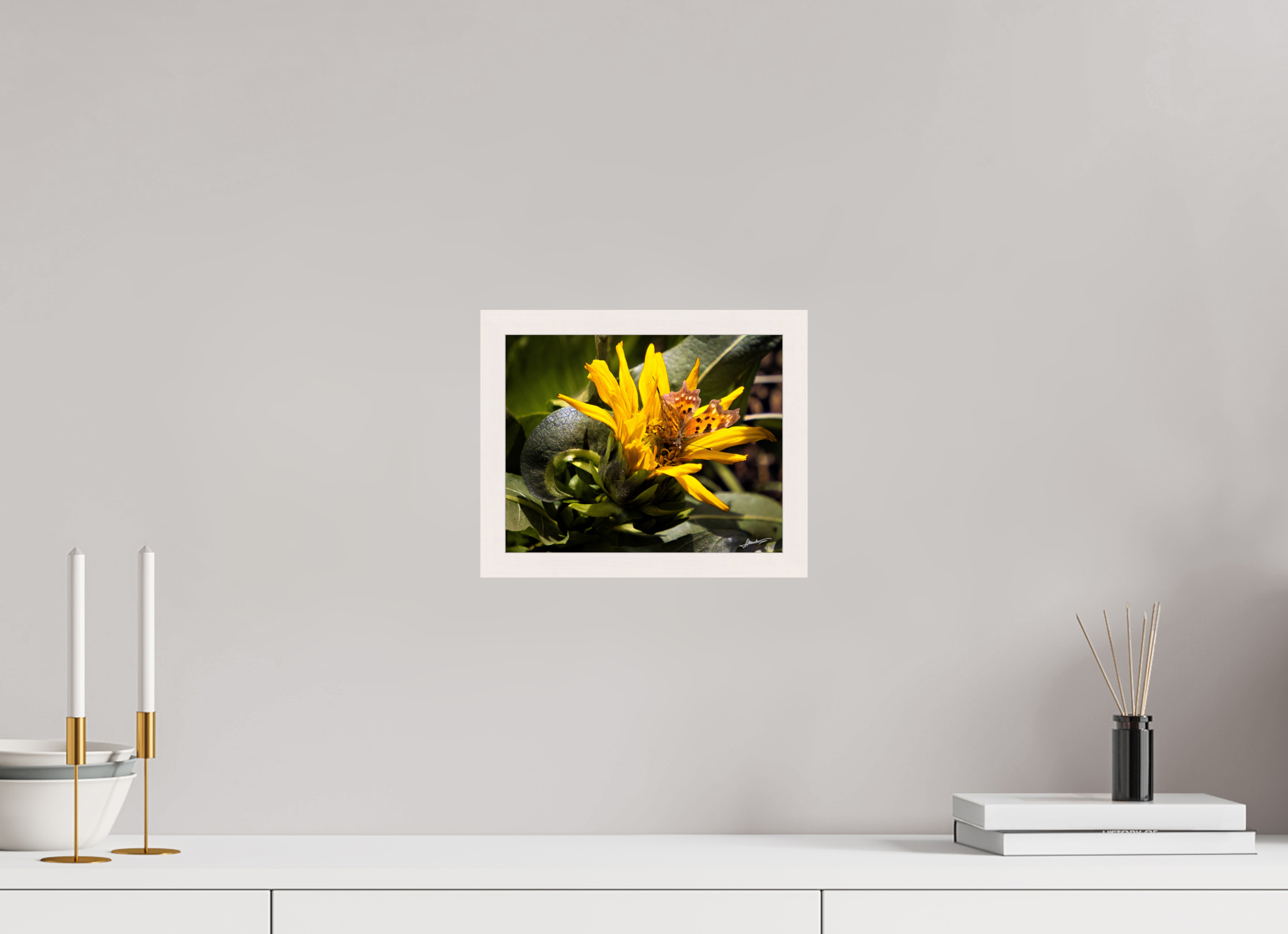 10 x 8″, Gallery Frame Busy Butterfly