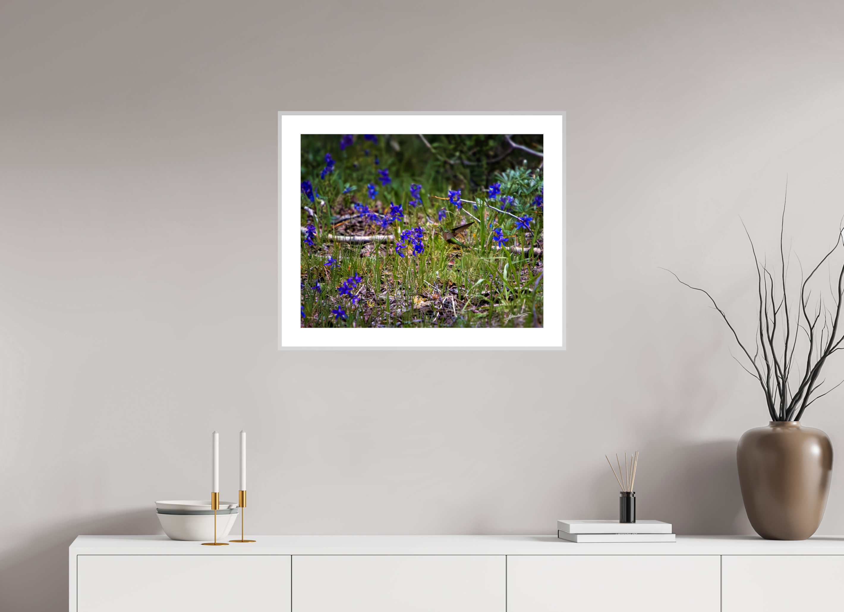 25 x 20″, Changeable Magnetic Frame Feeding Hummingbird