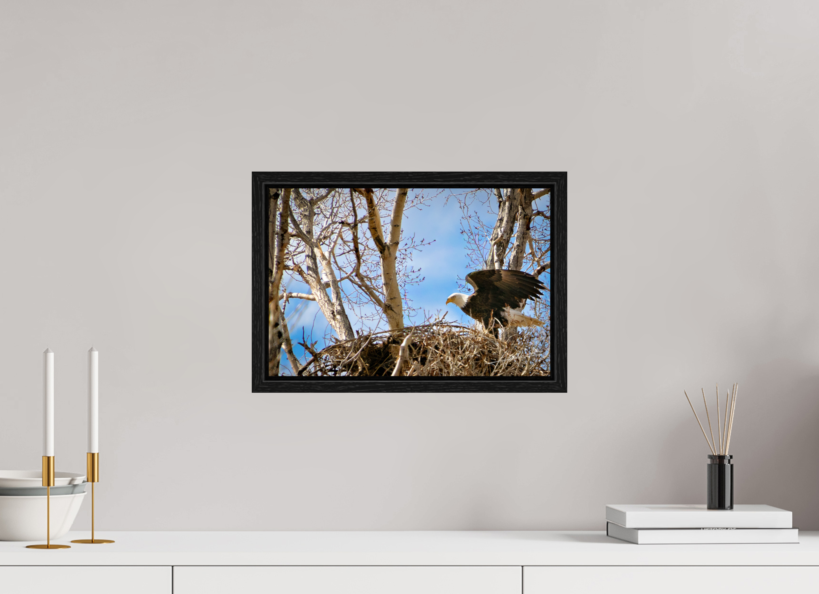 15 x 10″, Floater Frame The Eagles Nest