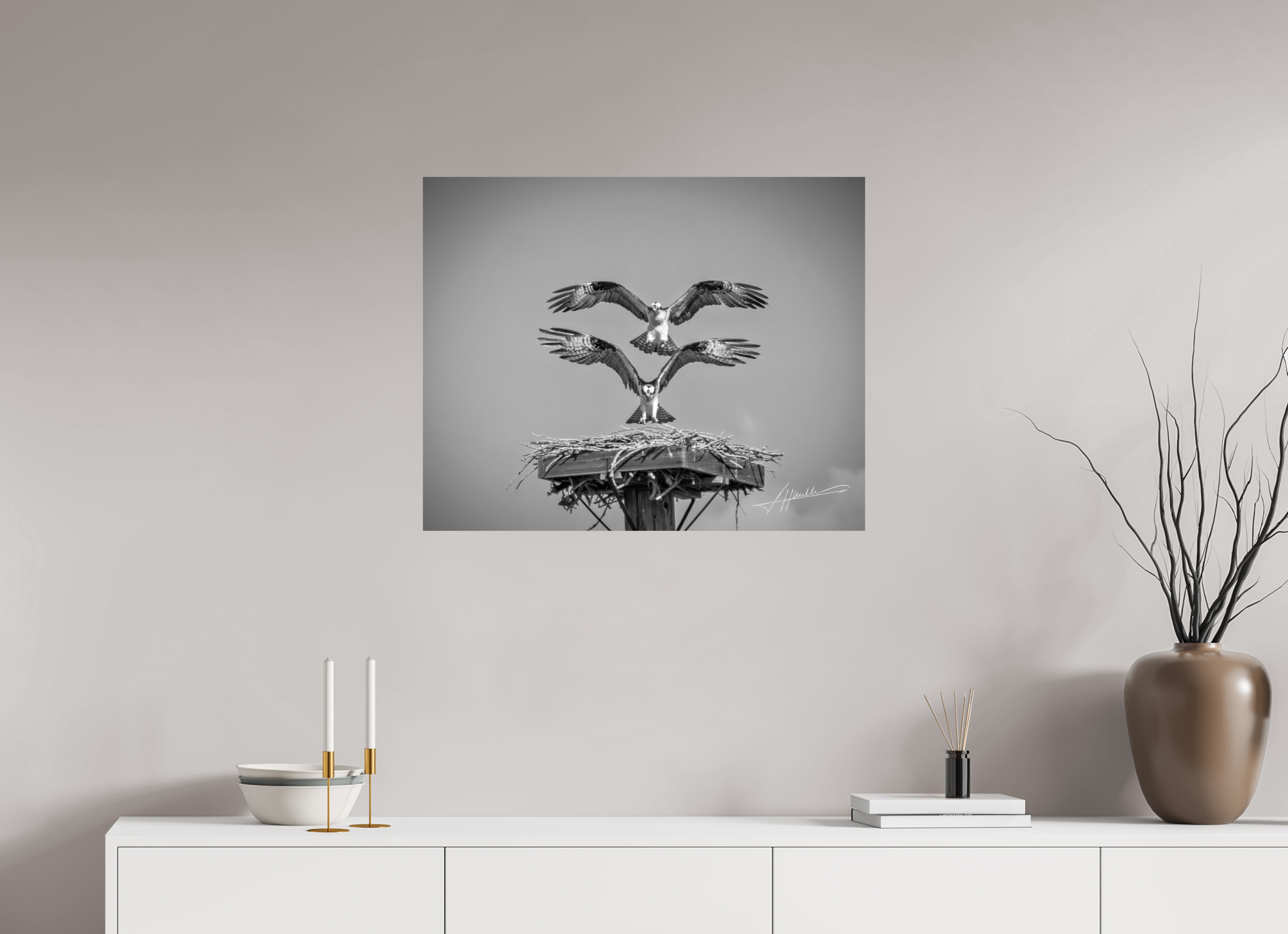 30 x 24″, Photo Print On Ilford Baryta Paper Two Osprey Landing