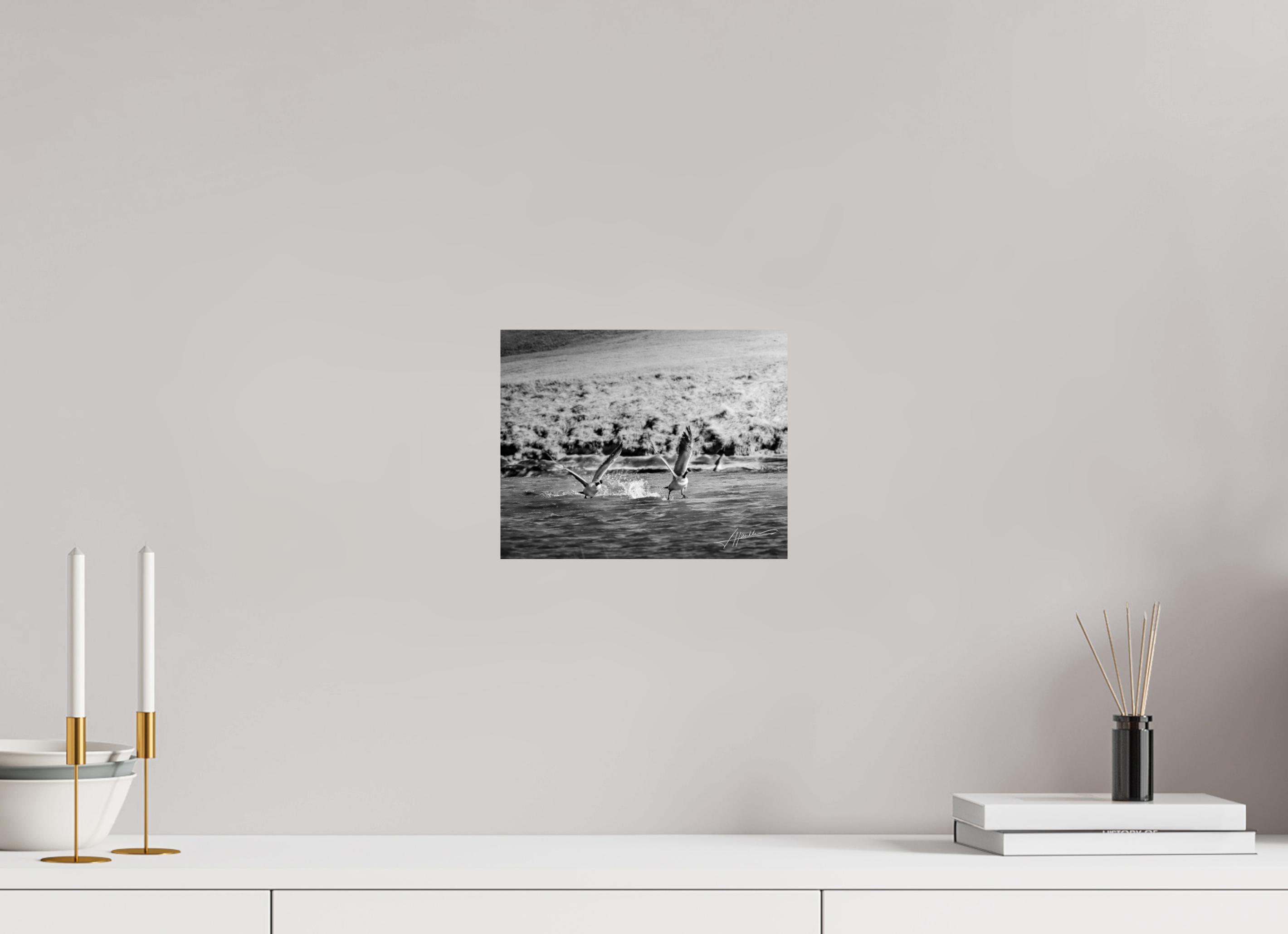 10 x 8″, Photo Print On Ilford Baryta Paper Geese Taking Flight